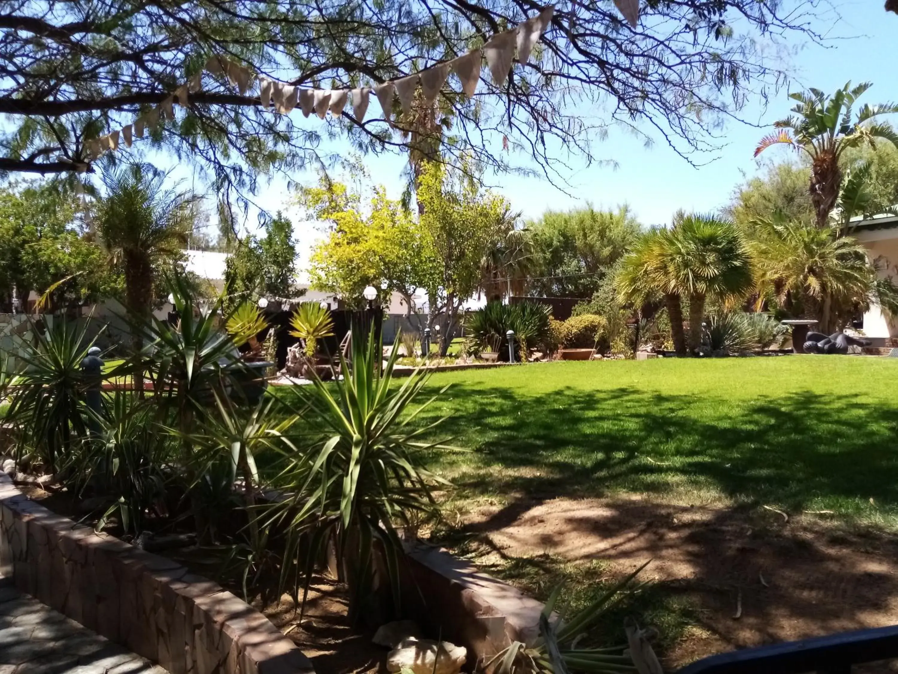 Garden view in Daisy Country Lodge Garden view in Daisy Country Lodge