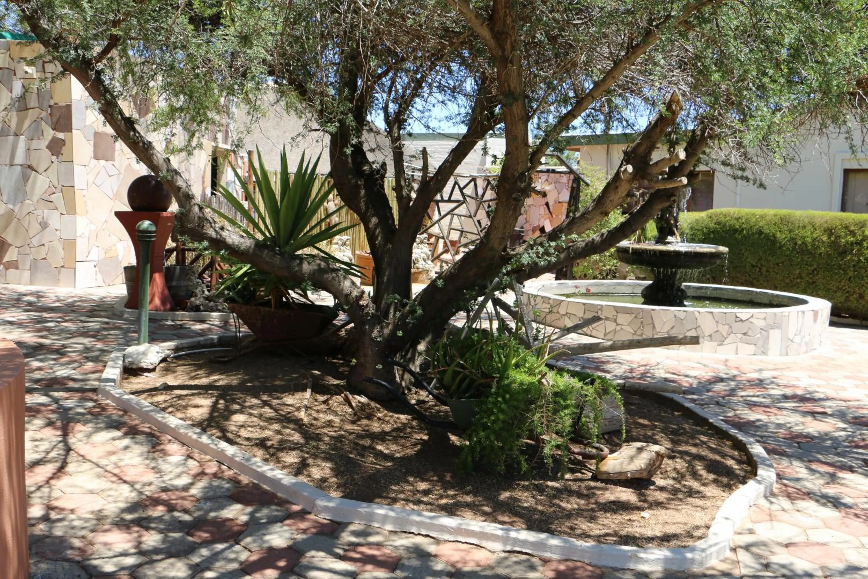 Garden in Daisy Country Lodge