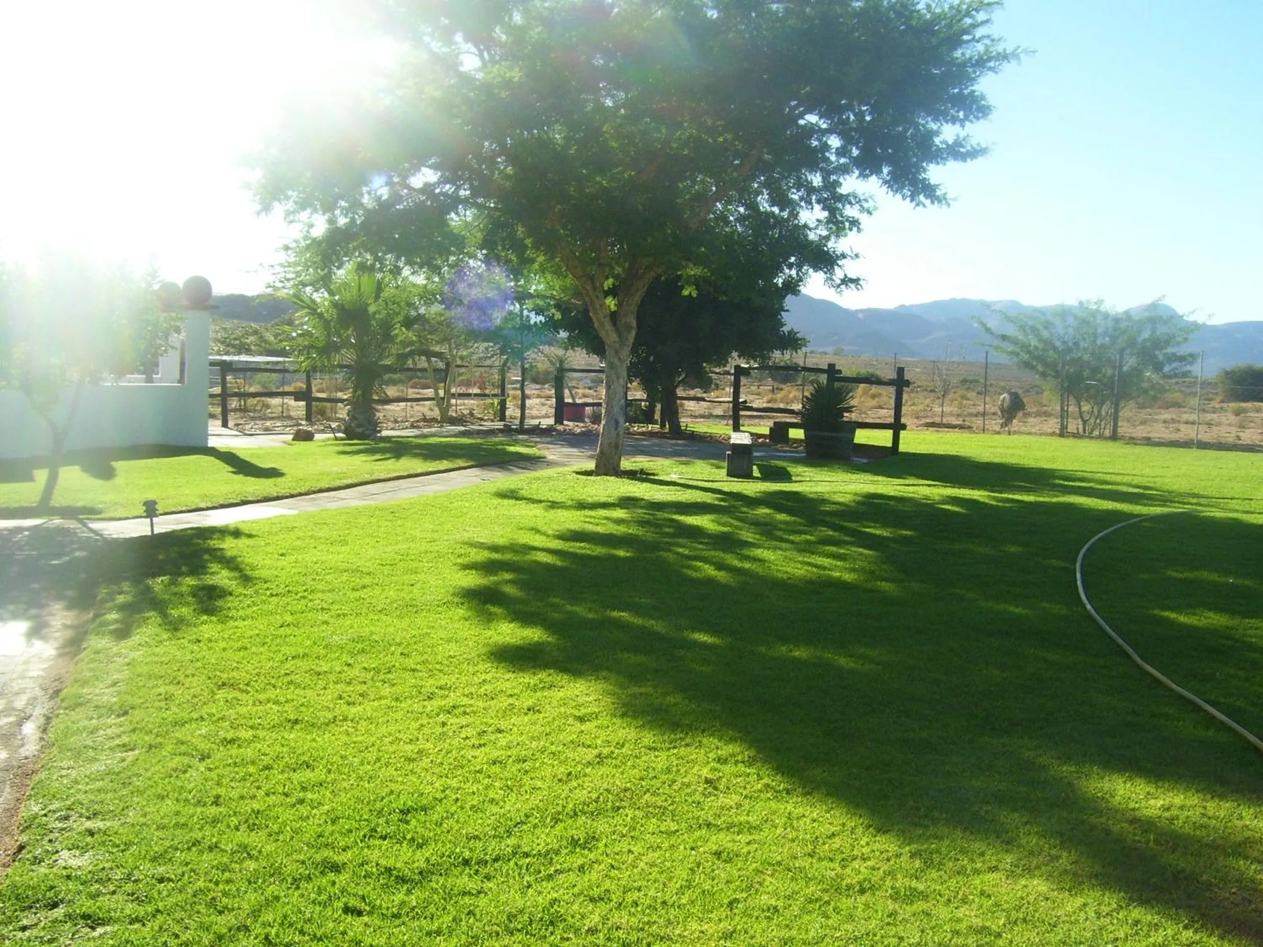Natural landscape in Daisy Country Lodge