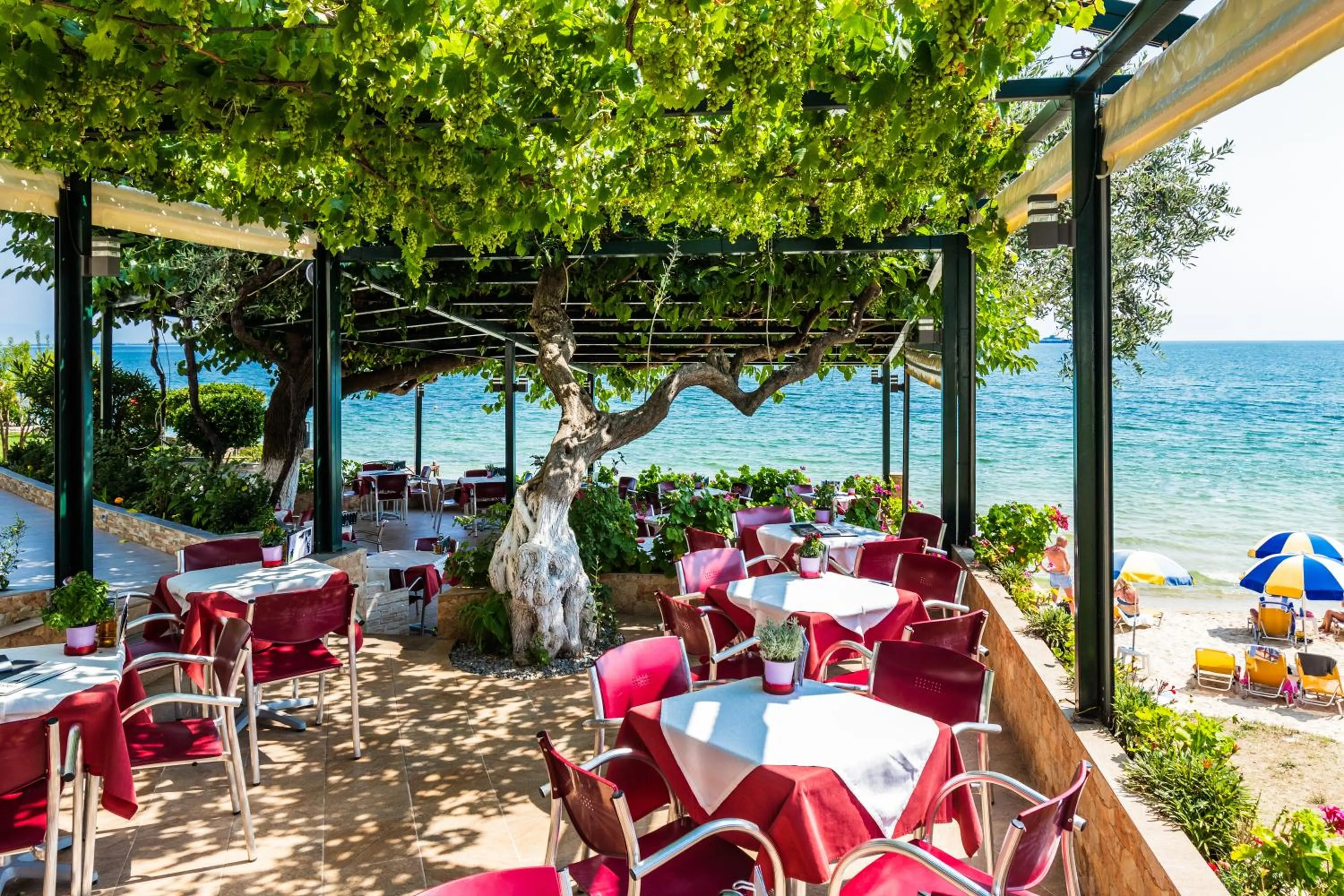 Restaurant/places to eat in Hotel Villa Nisteri
