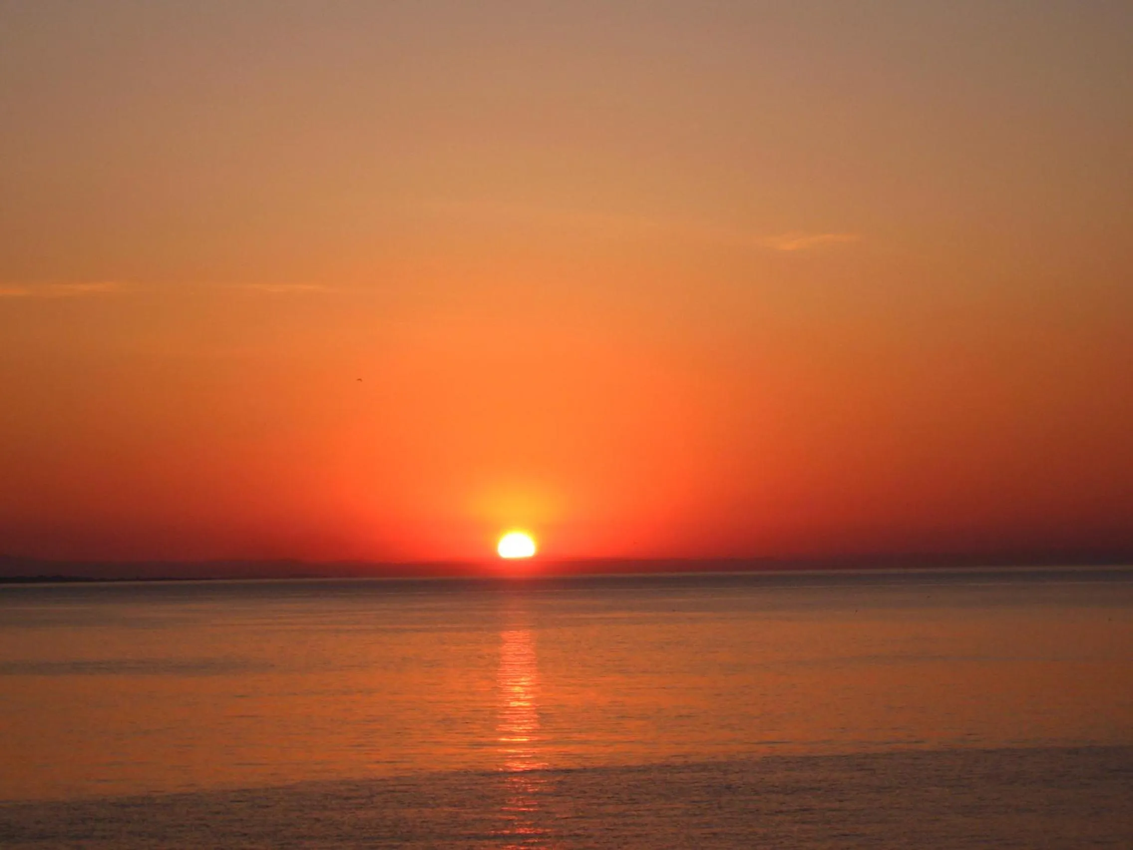 View (from property/room) in Hotel Villa Nisteri