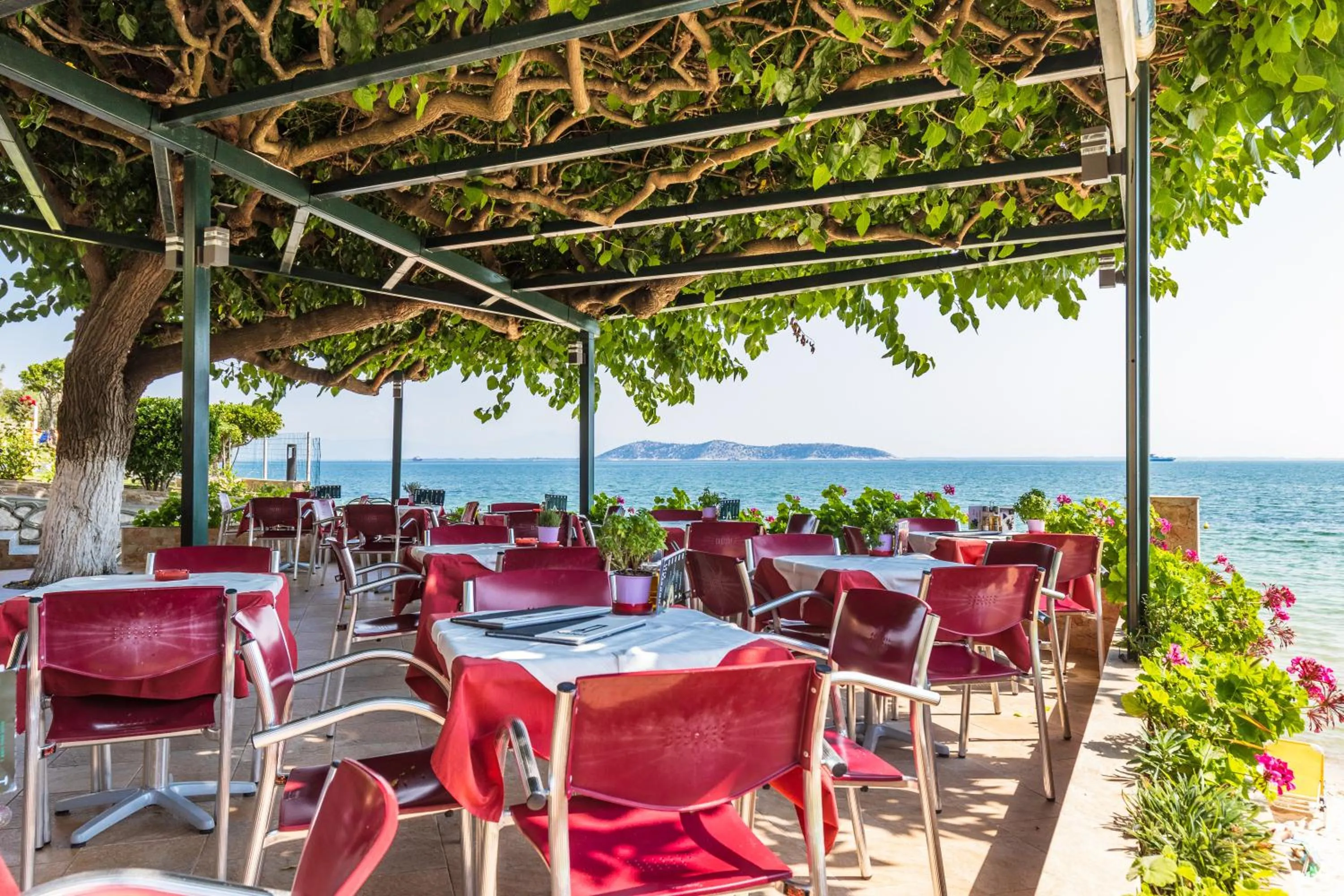 Restaurant/places to eat in Hotel Villa Nisteri