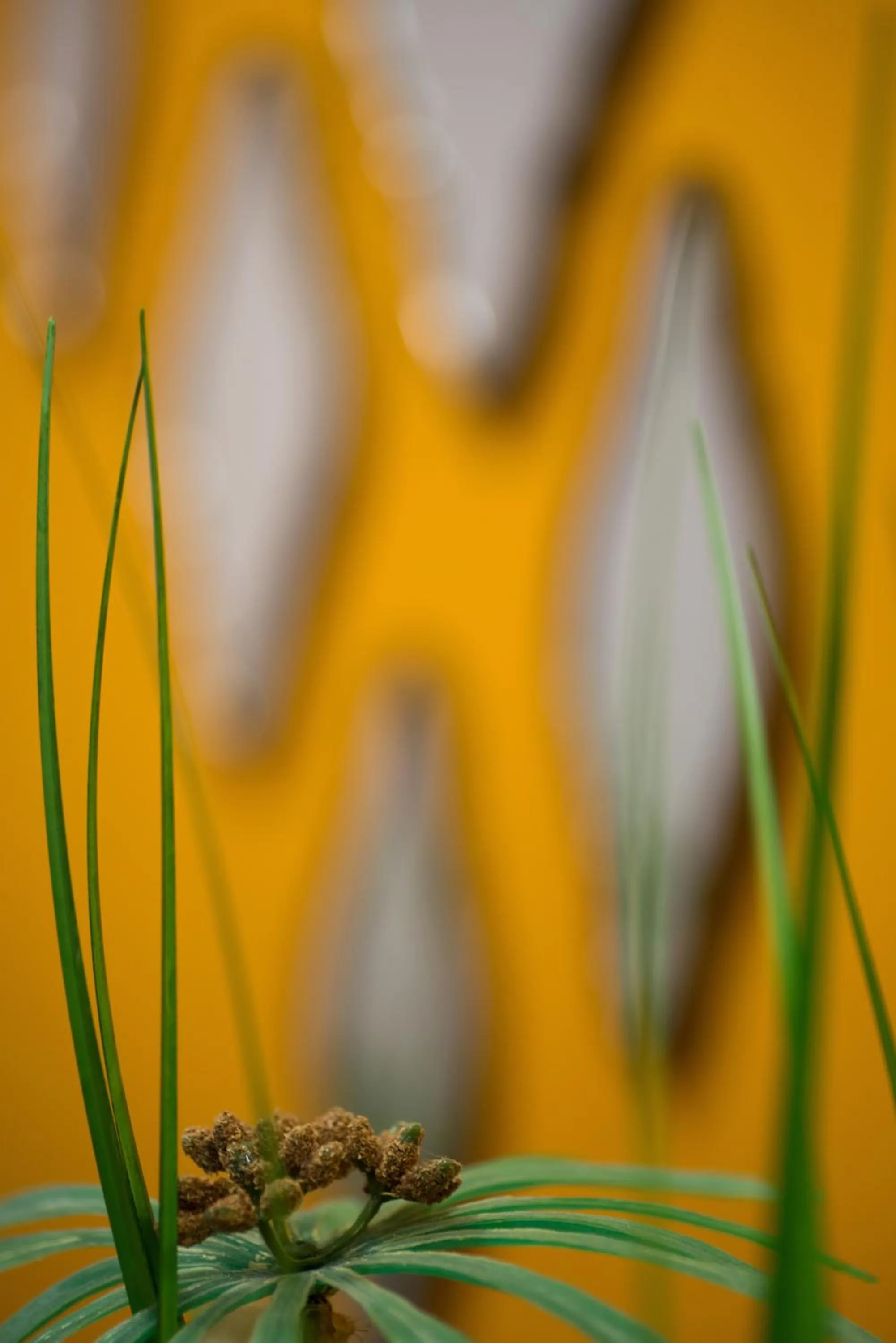 Decorative detail in Sun City Hotel