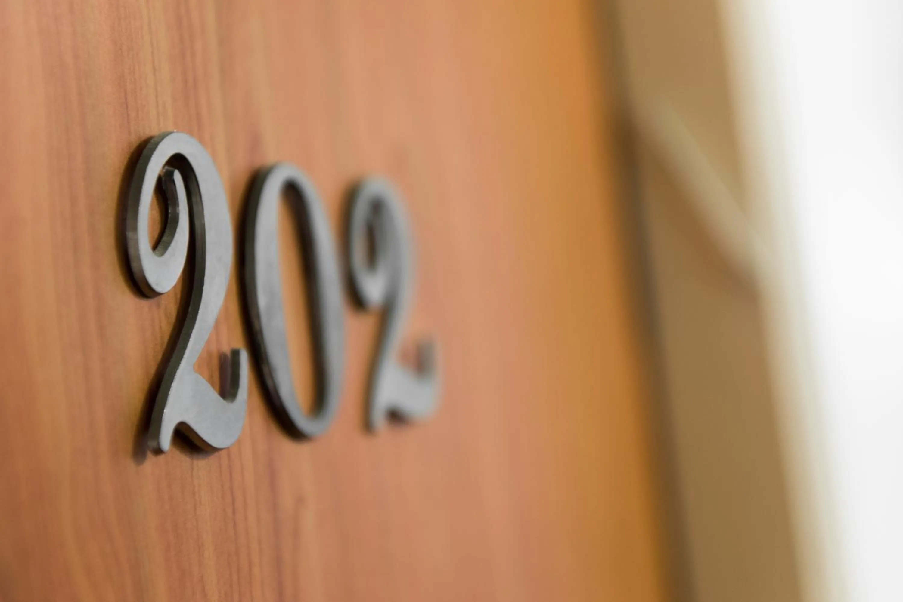 Decorative detail in Sun City Hotel