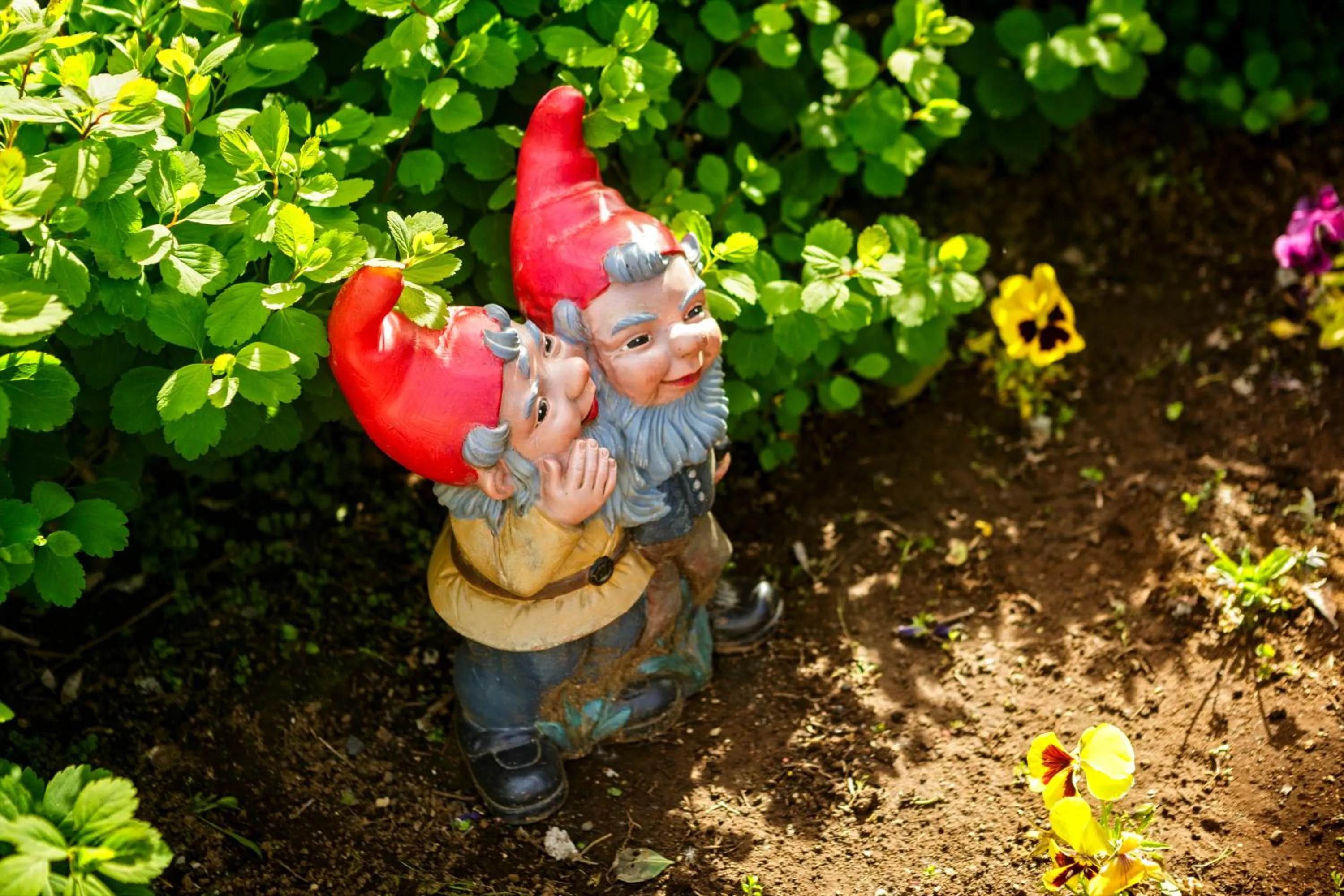 Spring in South Central Guesthouse