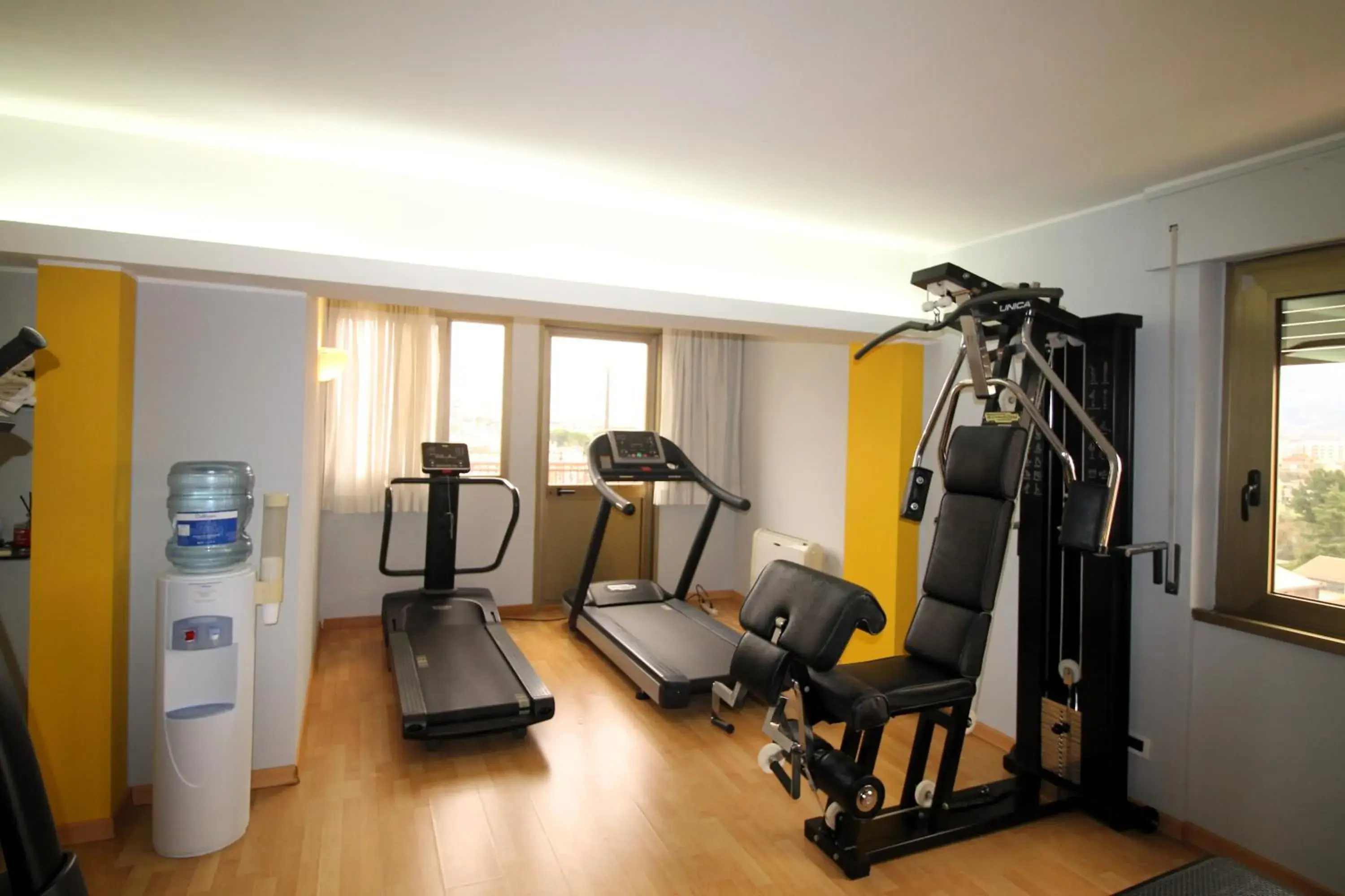Fitness centre/facilities in Hotel Minerva Fitness centre/facilities in Hotel Minerva