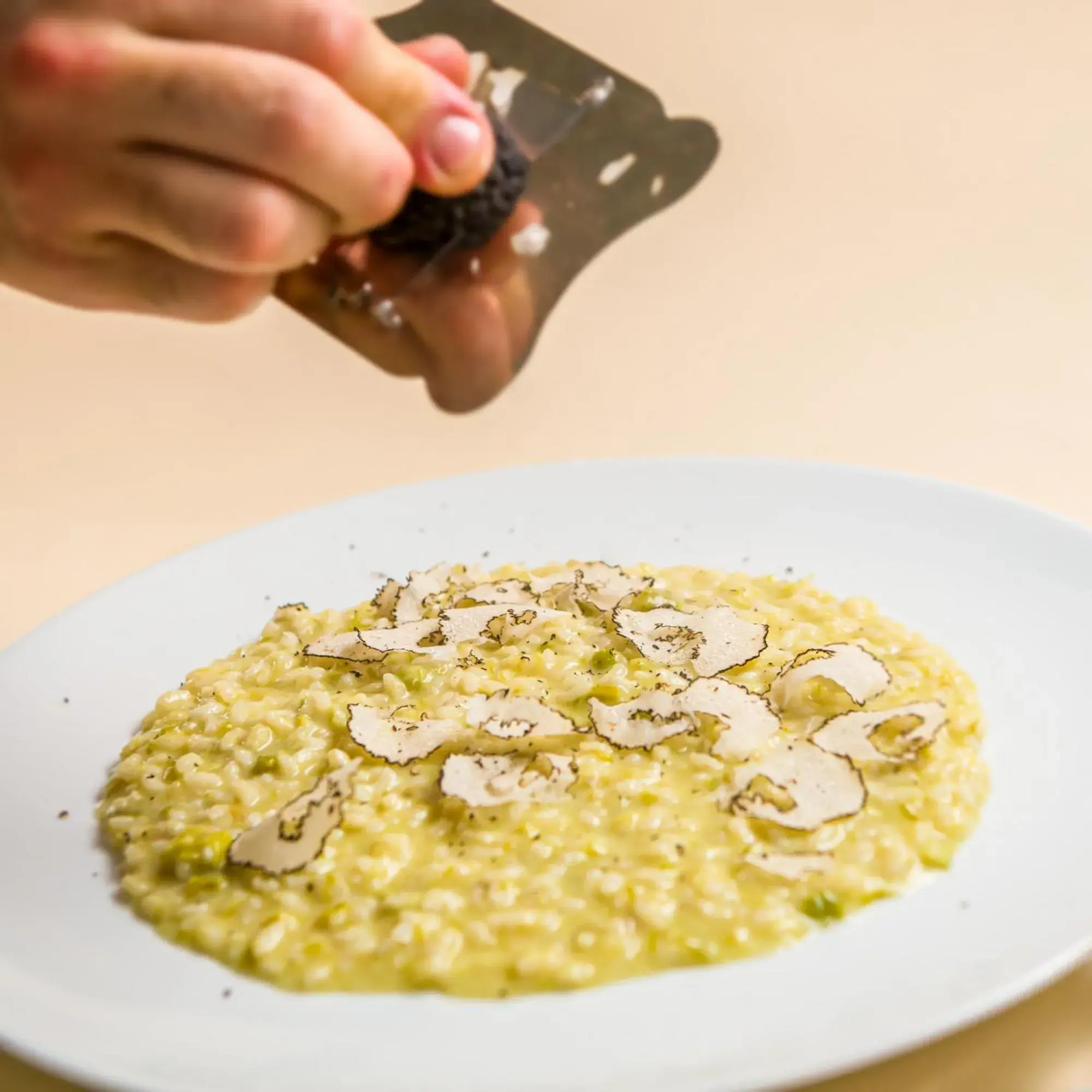 Restaurant/places to eat in Hotel Minerva Restaurant/places to eat in Hotel Minerva