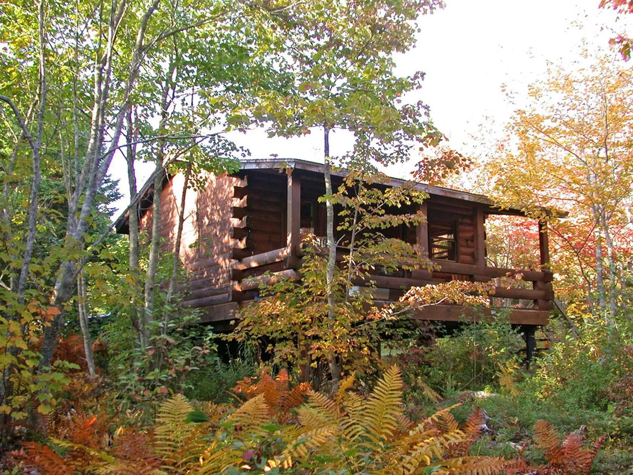 Facade/entrance in Vipilodge