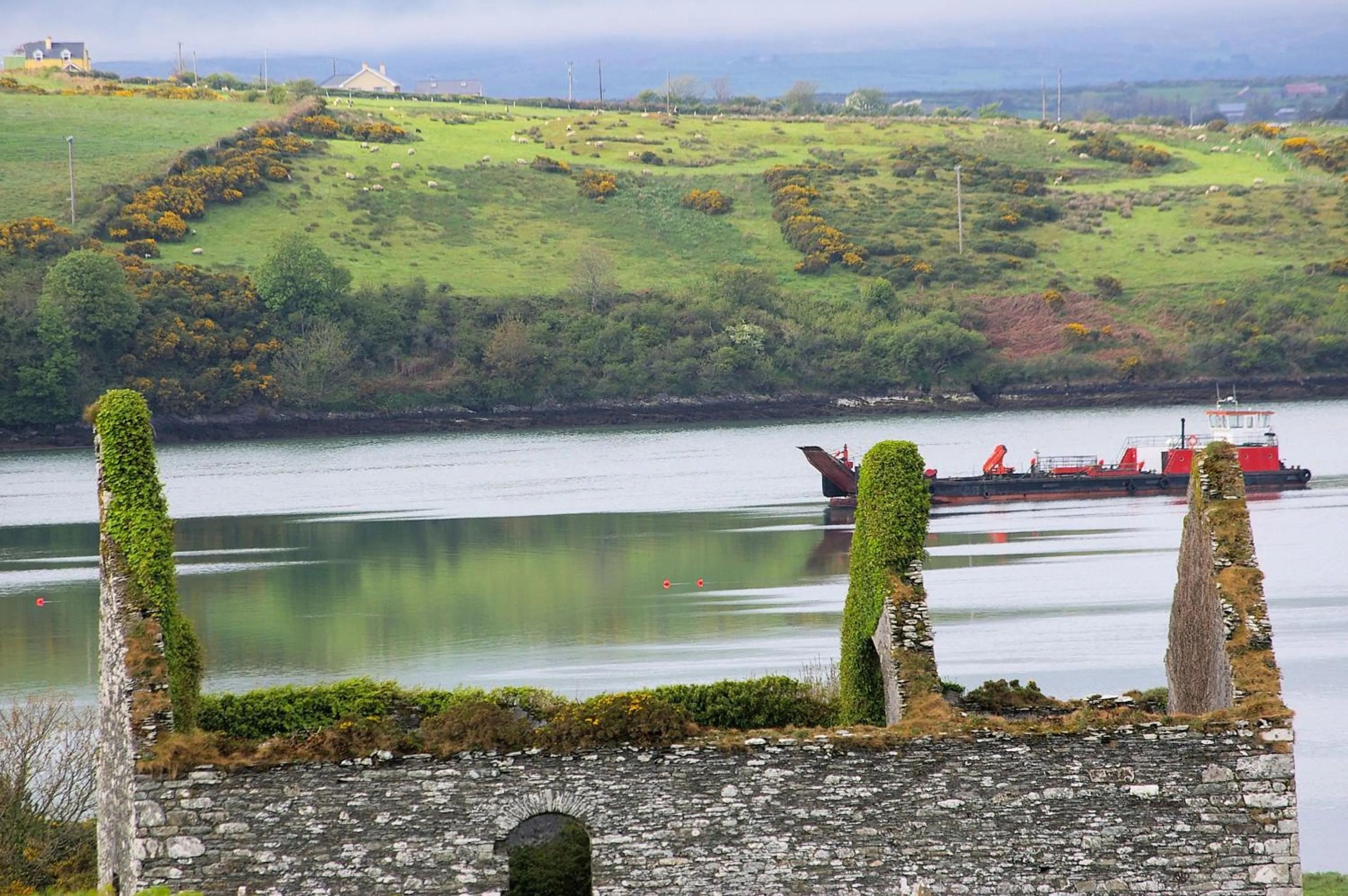 Natural landscape in Casey's Of Baltimore Collection