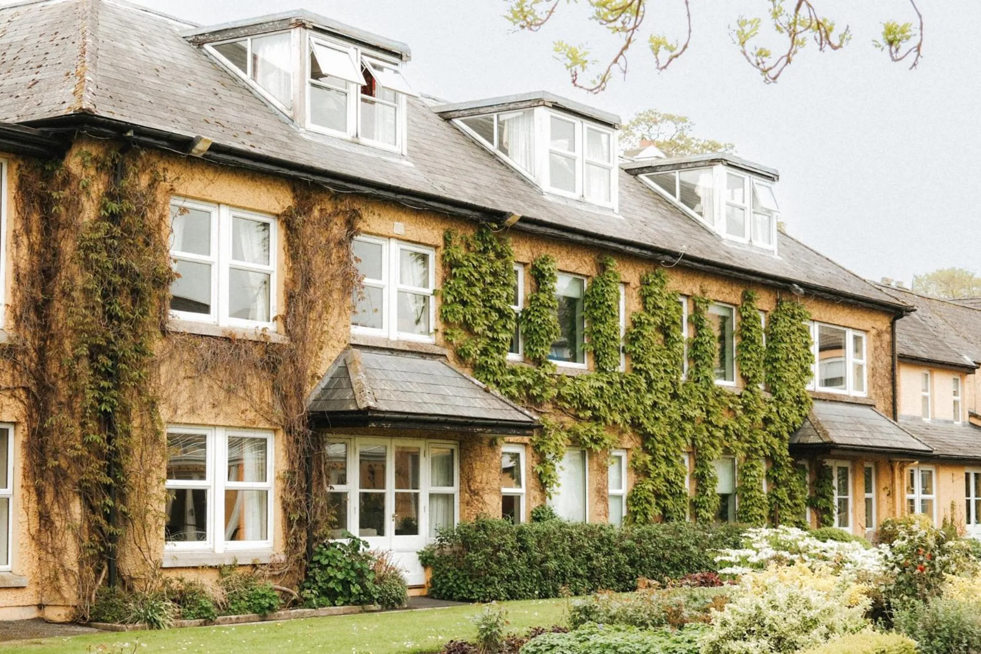 Garden in The Dunraven, Adare