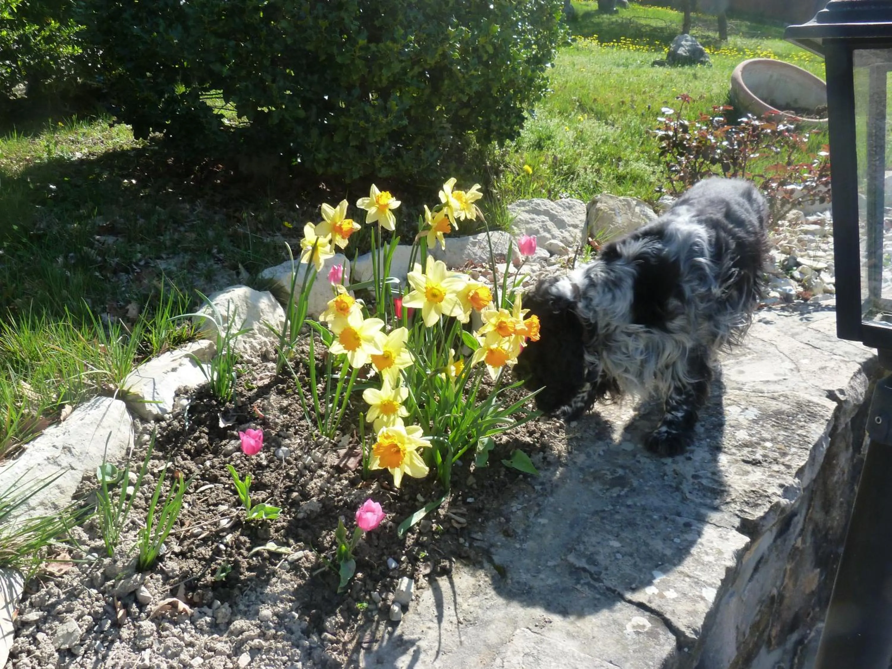 Garden view in "Le Pigeonnier" chambre d'hôte