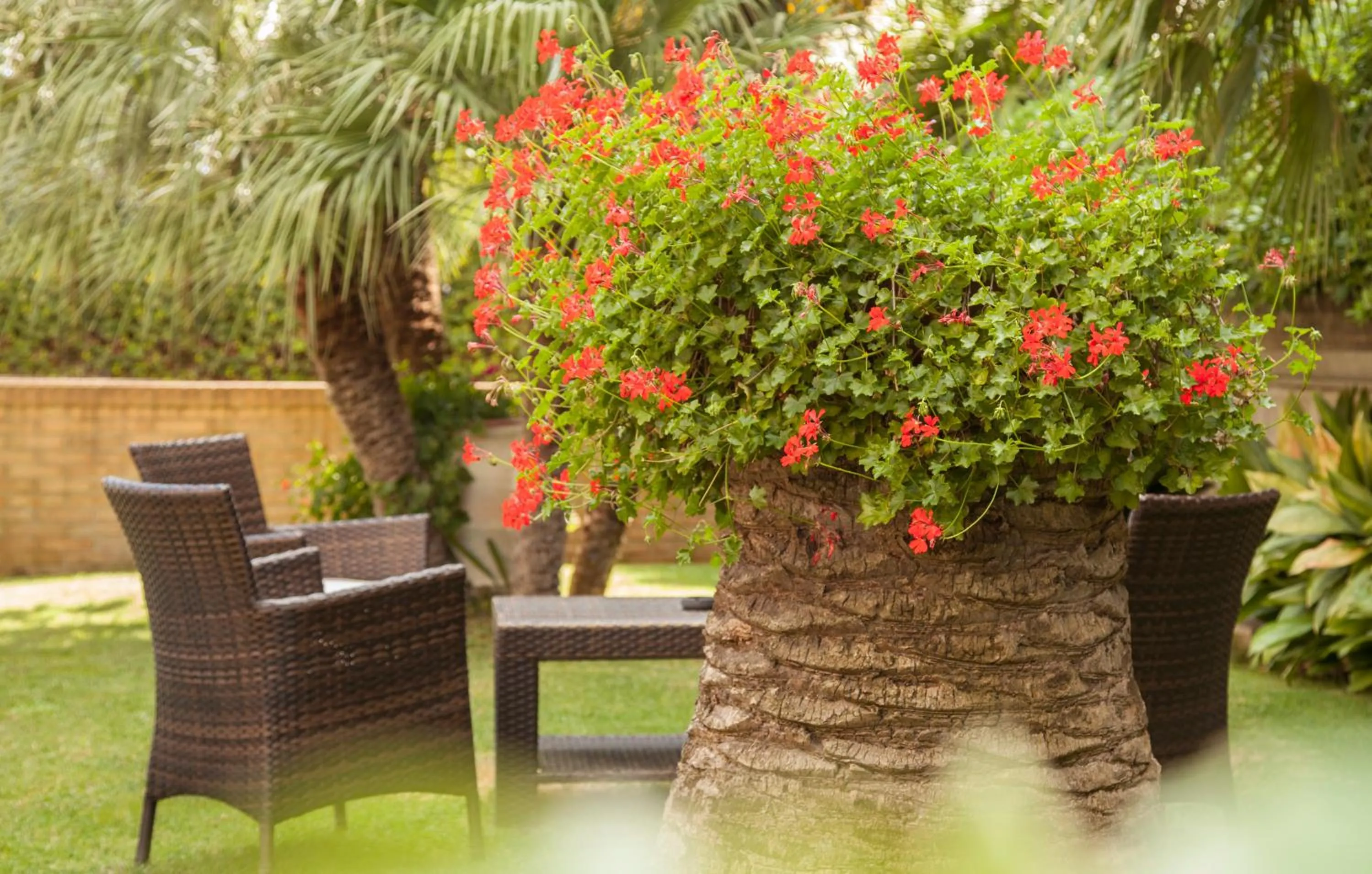 Garden in Residence Torre Del Mar