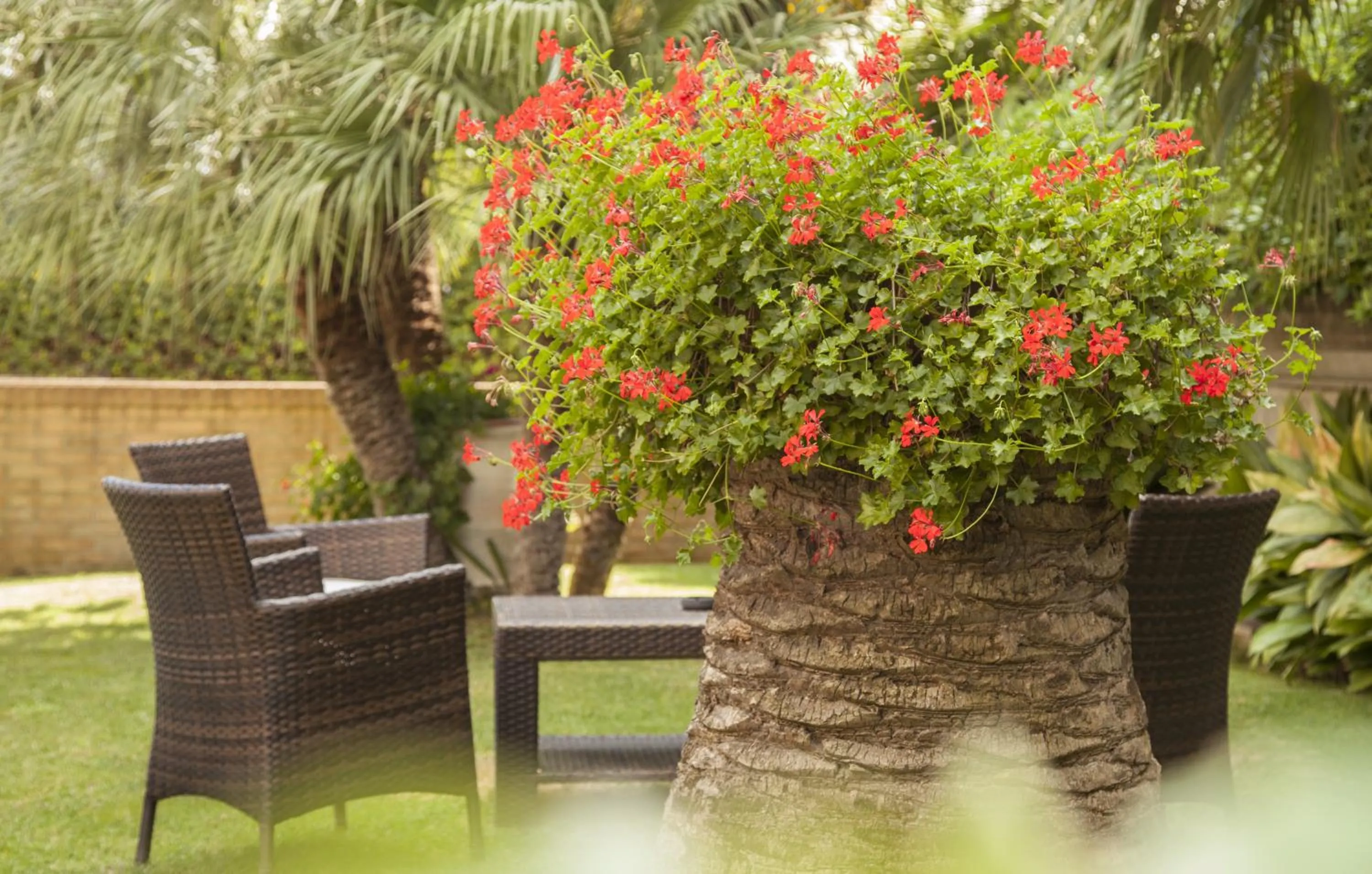 Decorative detail in Residence Torre Del Mar