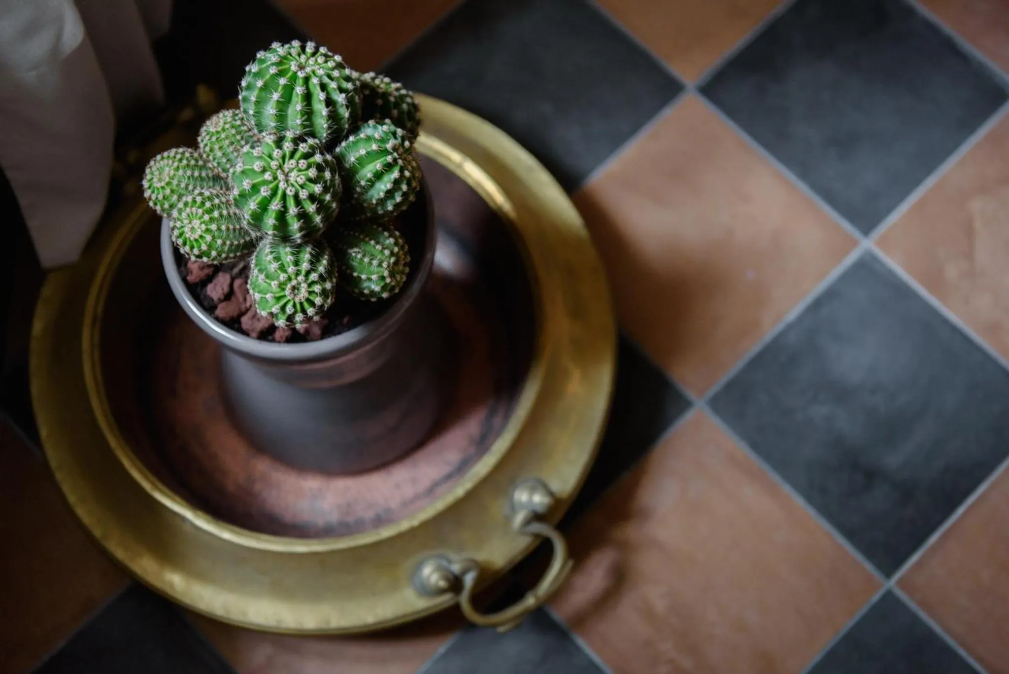 Sacratum B&B Suite Spa