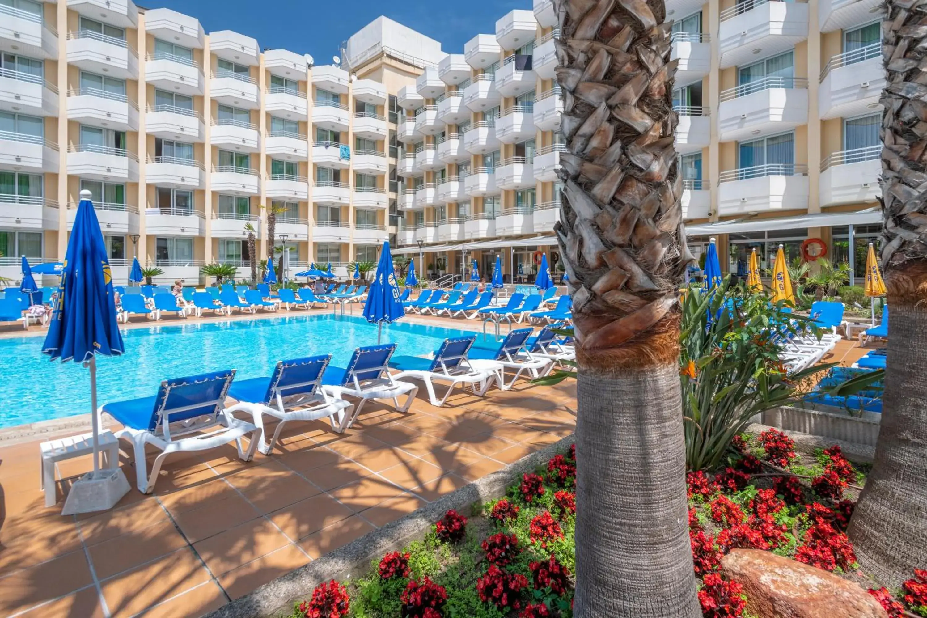 Swimming pool in GHT Oasis Tossa & Spa Swimming pool in GHT Oasis Tossa & Spa