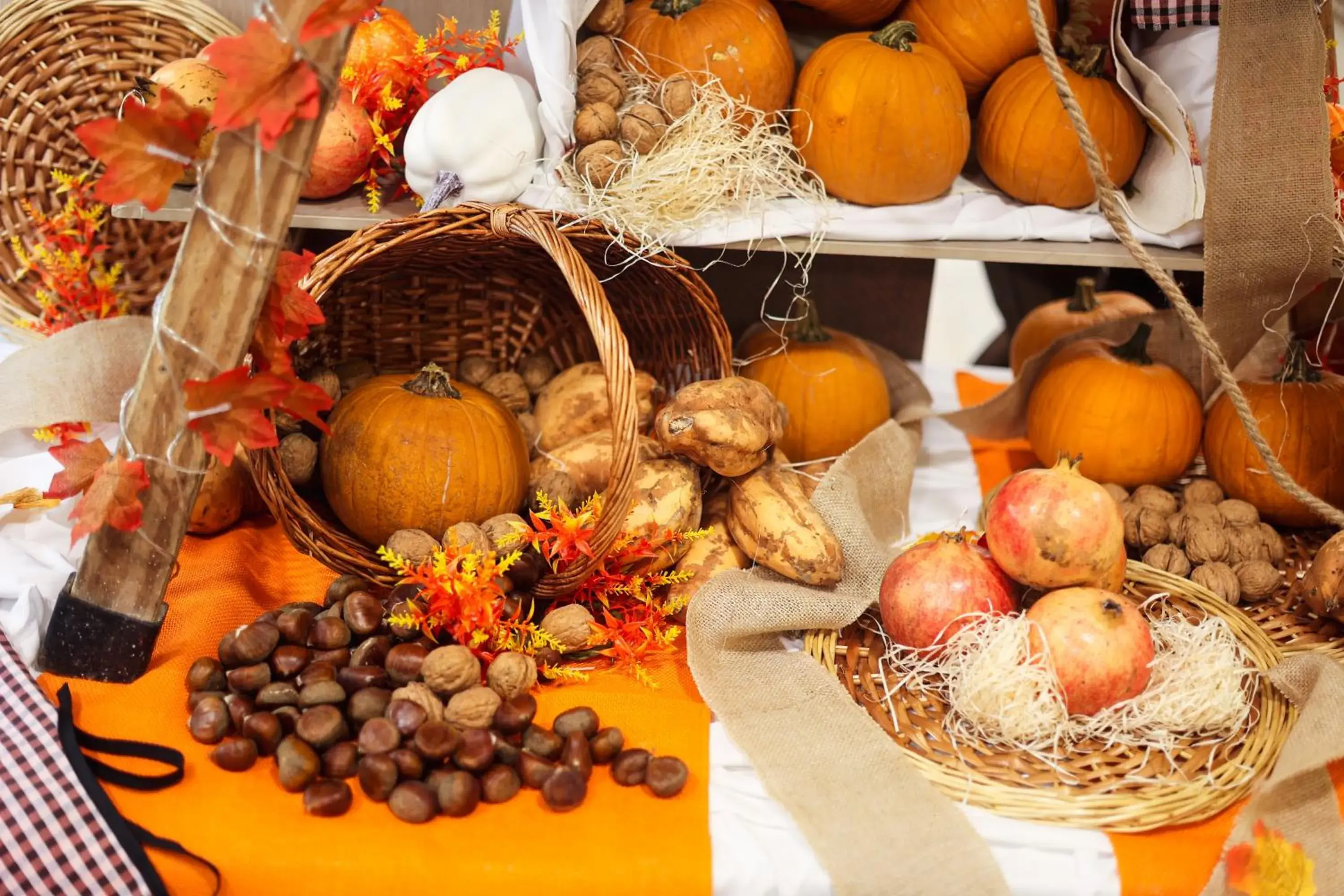 Restaurant/places to eat in GHT Oasis Tossa & Spa Restaurant/places to eat in GHT Oasis Tossa & Spa