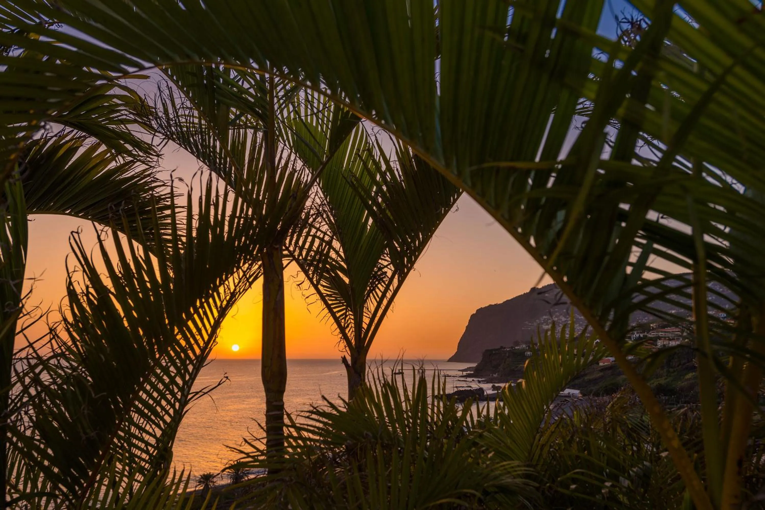 Natural landscape in Pestana Royal All Inclusive Ocean & Spa Resort