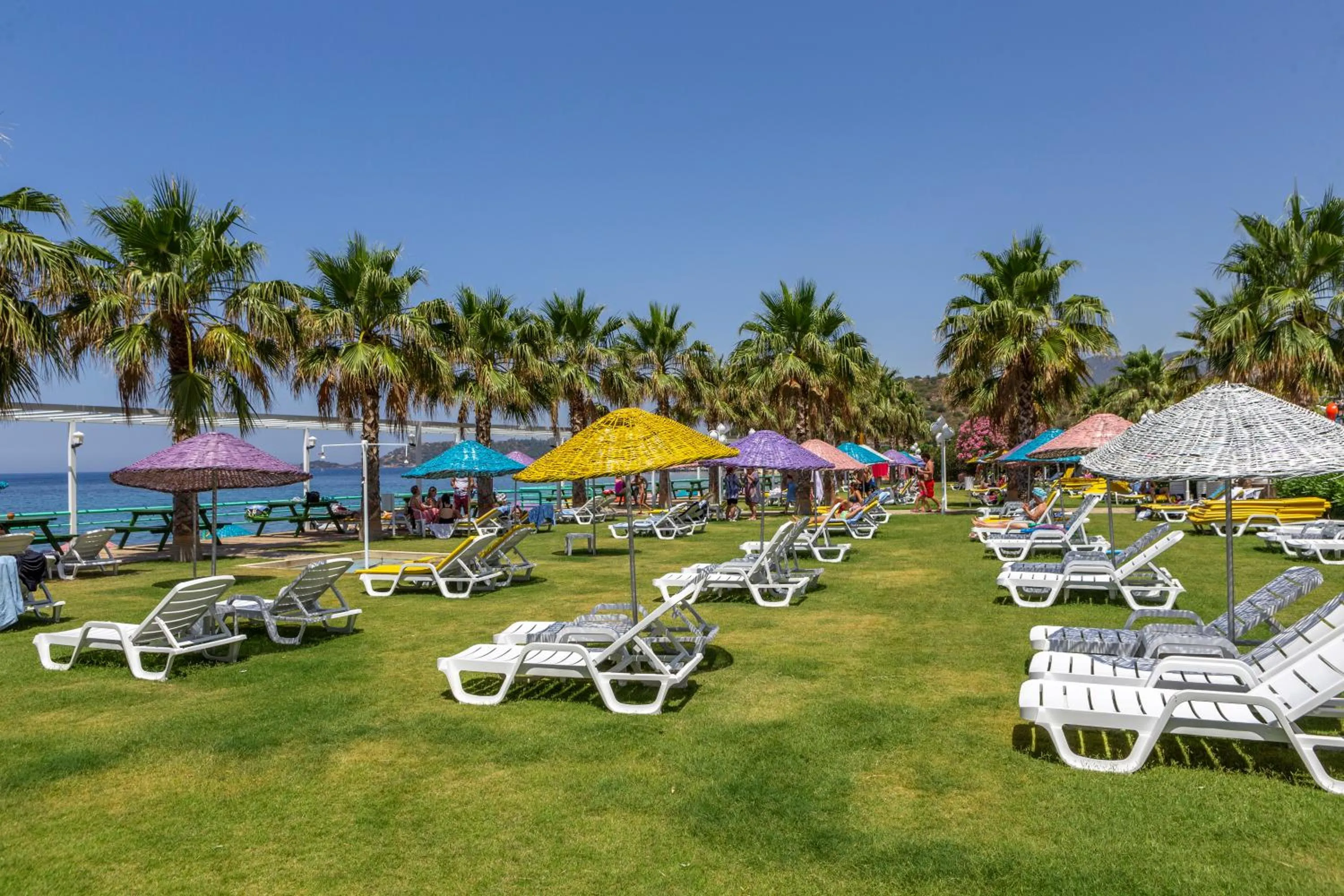 Beach in Hotel Grand Efe