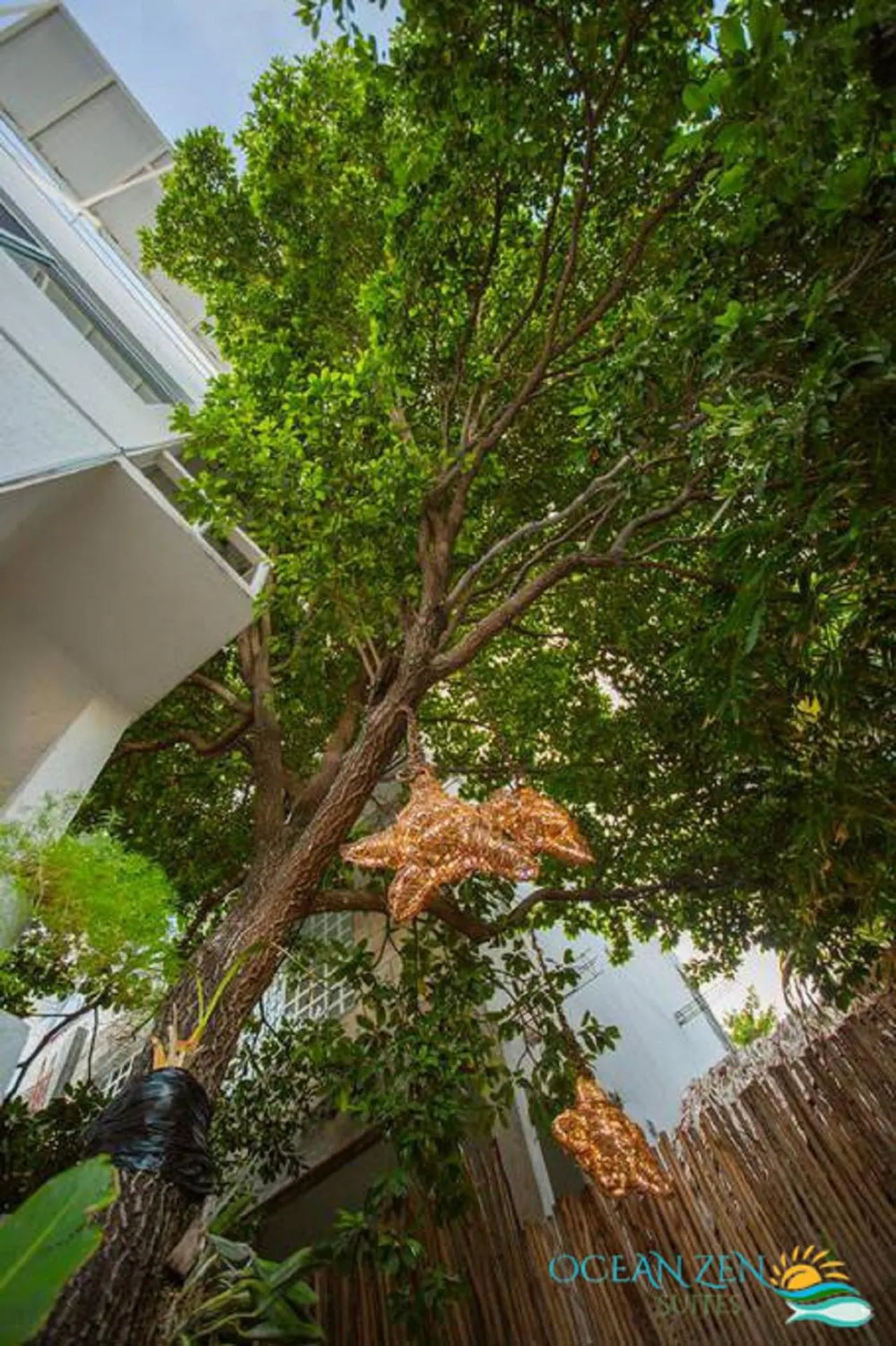 Ocean Zen Suites on 5th Avenue - Adults Only