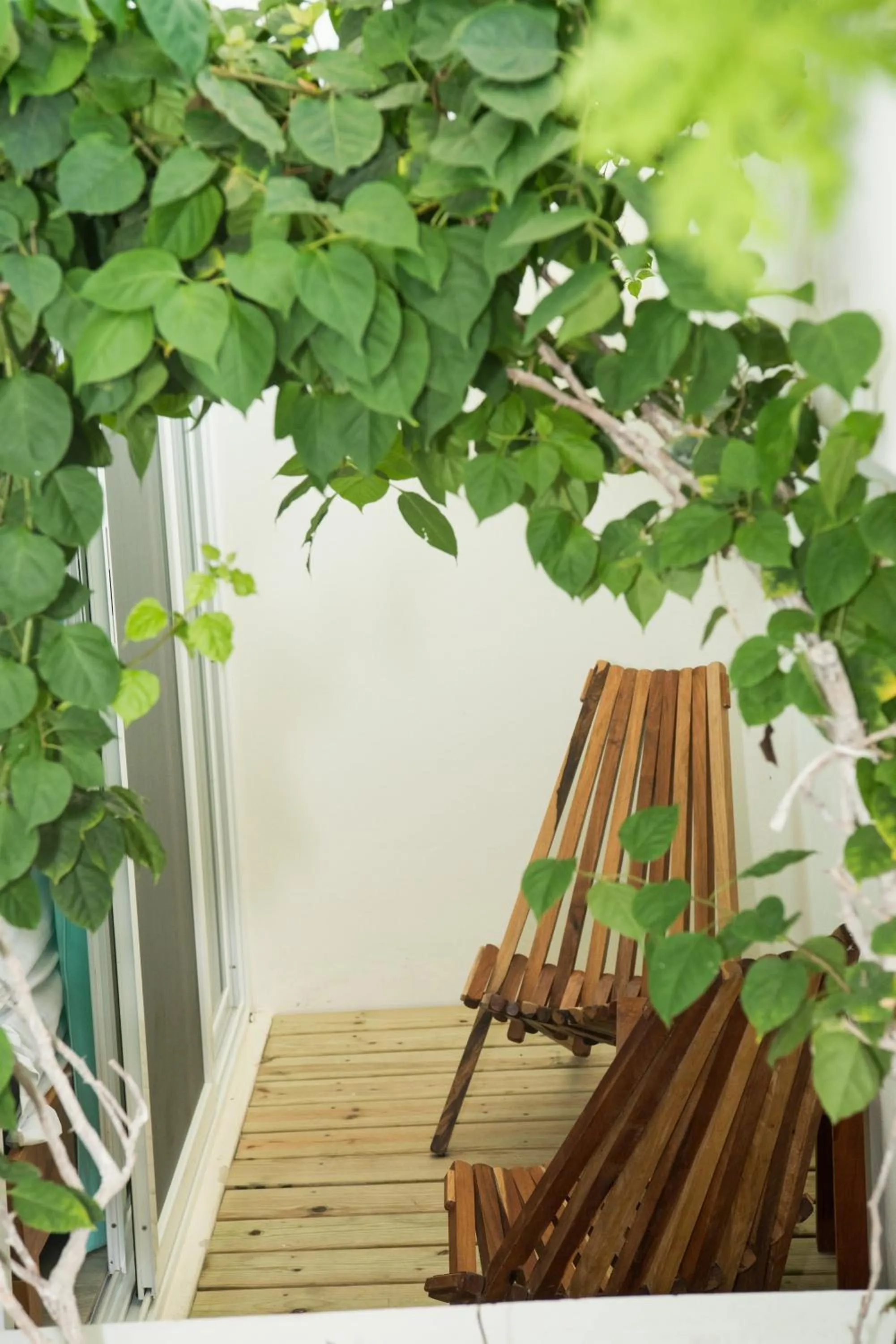 Ocean Zen Suites on 5th Avenue - Adults Only