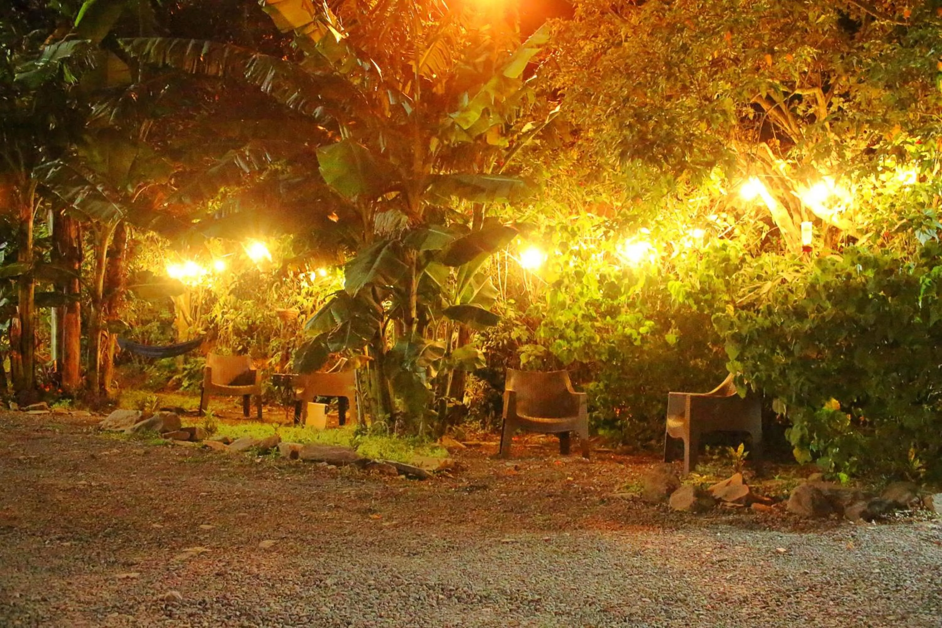 Bird's eye view in Casa Jungle Monteverde B&B