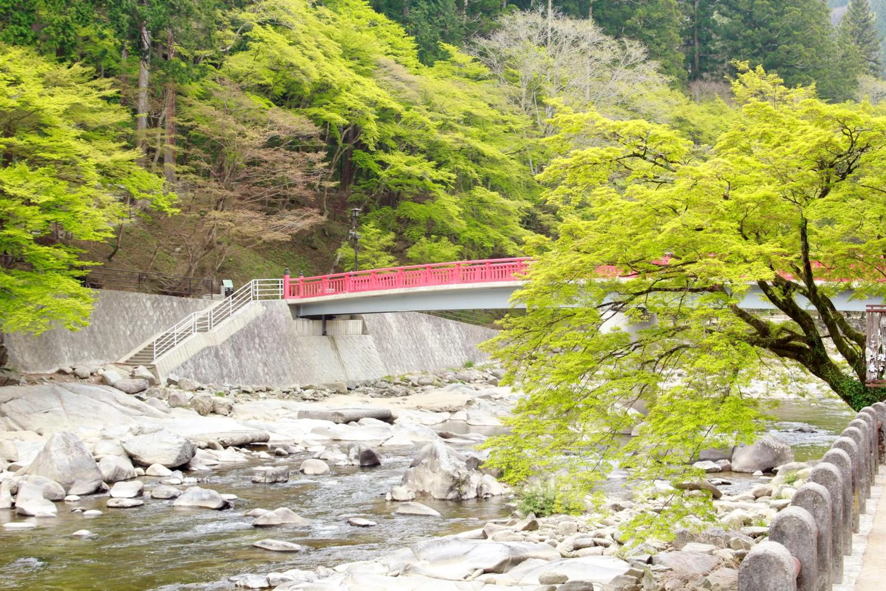 Natural landscape in Korantei