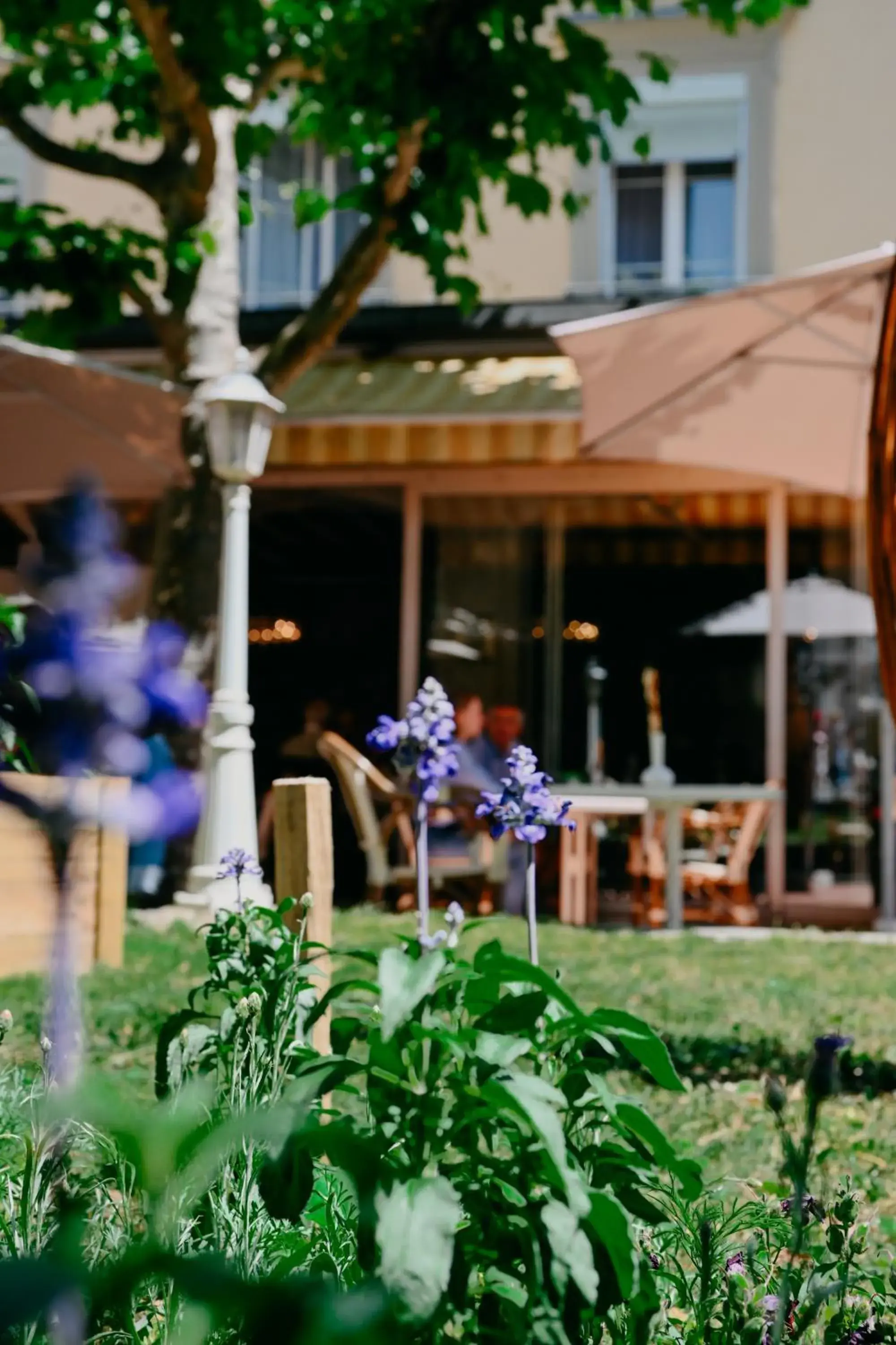 Garden view in Hotel International & Terminus Garden view in Hotel International & Terminus