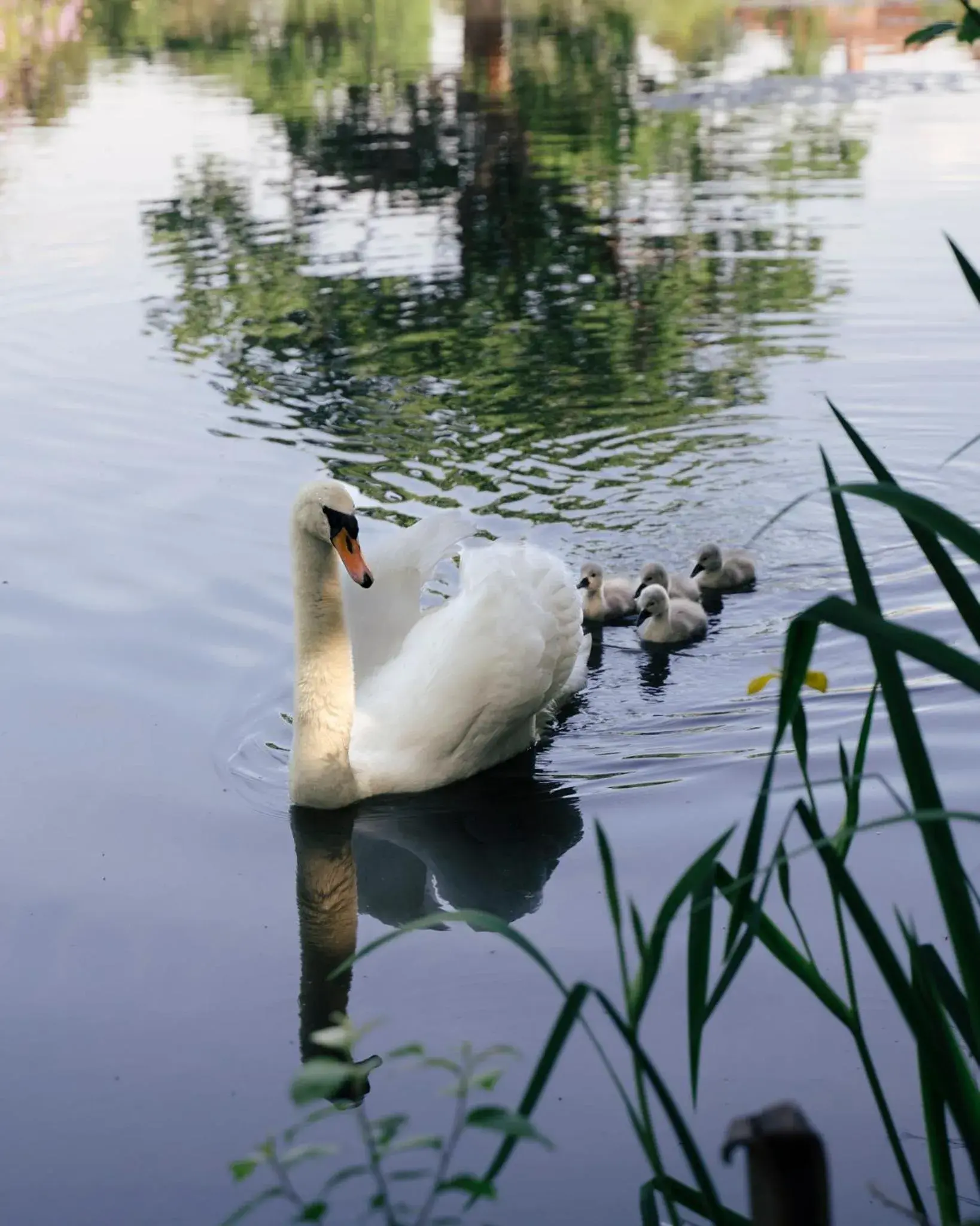 Property building in Stoke Place- Part of the Cairn Collection Property building in Stoke Place- Part of the Cairn Collection
