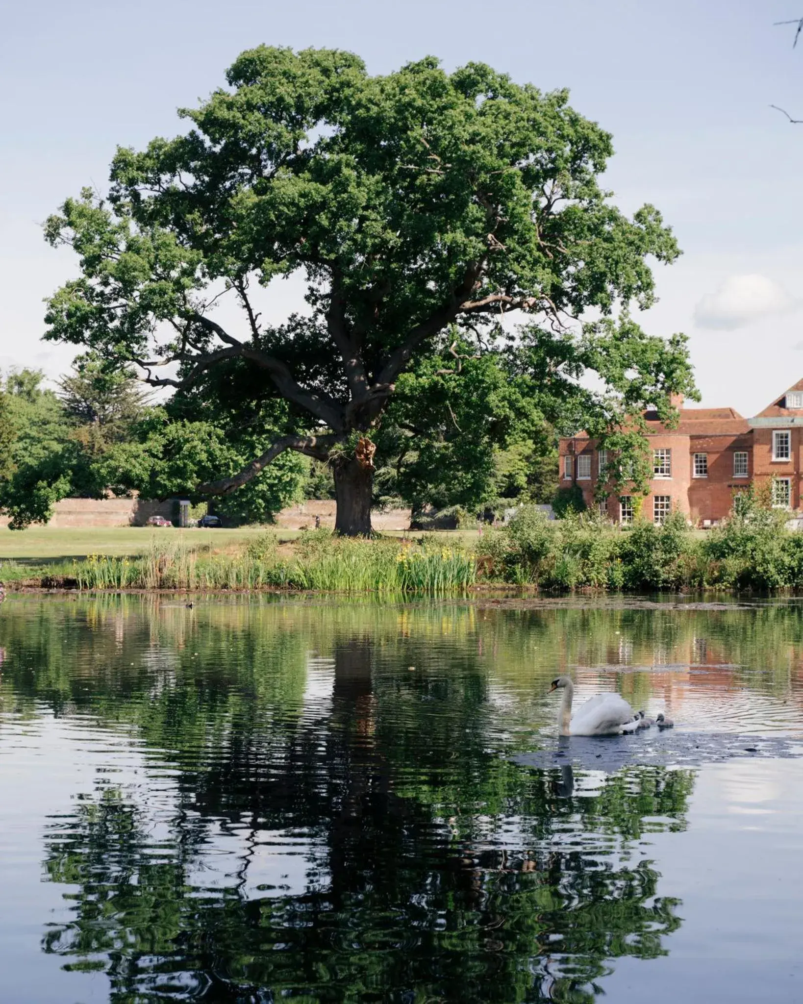 Property building in Stoke Place- Part of the Cairn Collection Property building in Stoke Place- Part of the Cairn Collection