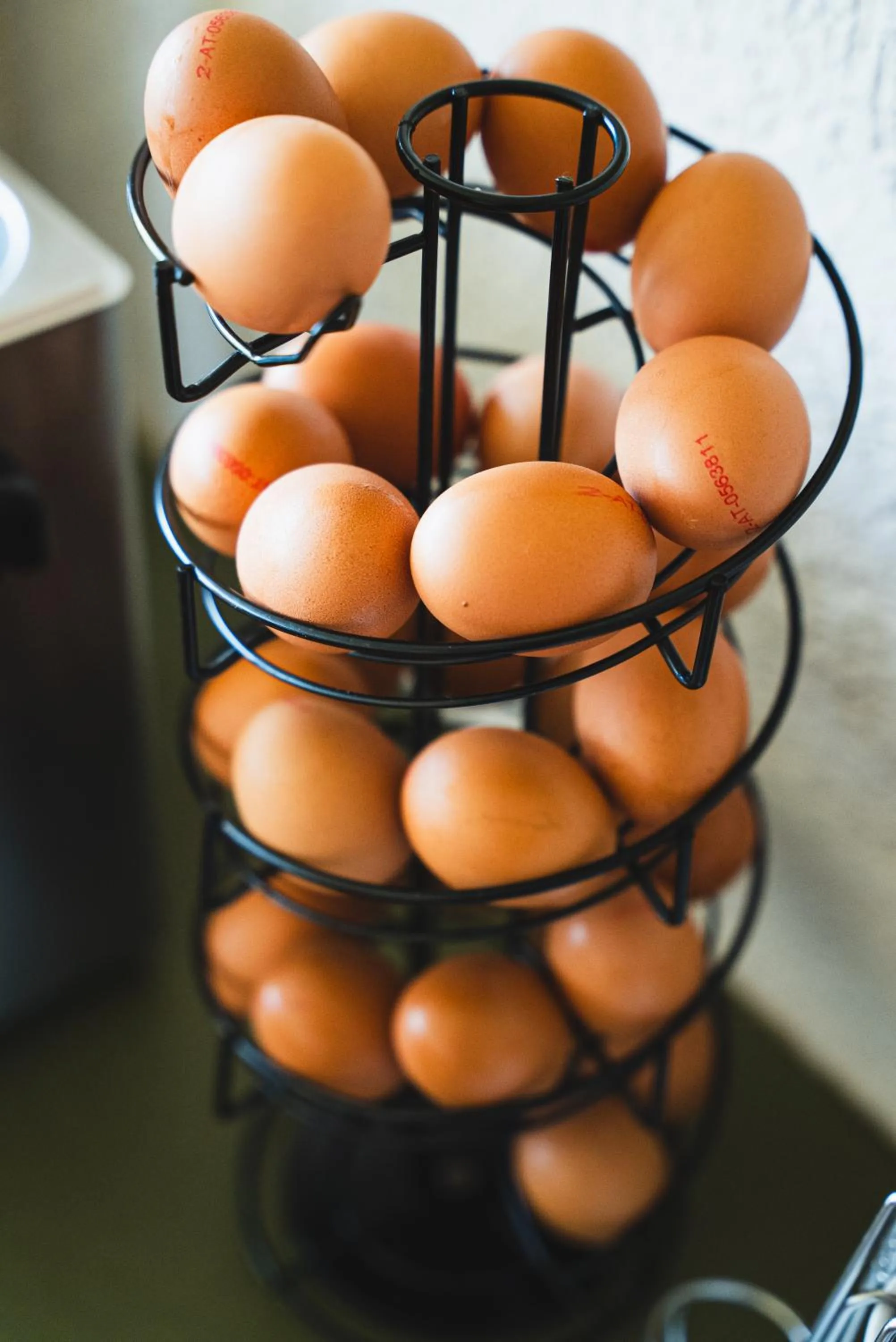 Breakfast in Hotel Faaker See Inn by S4Y