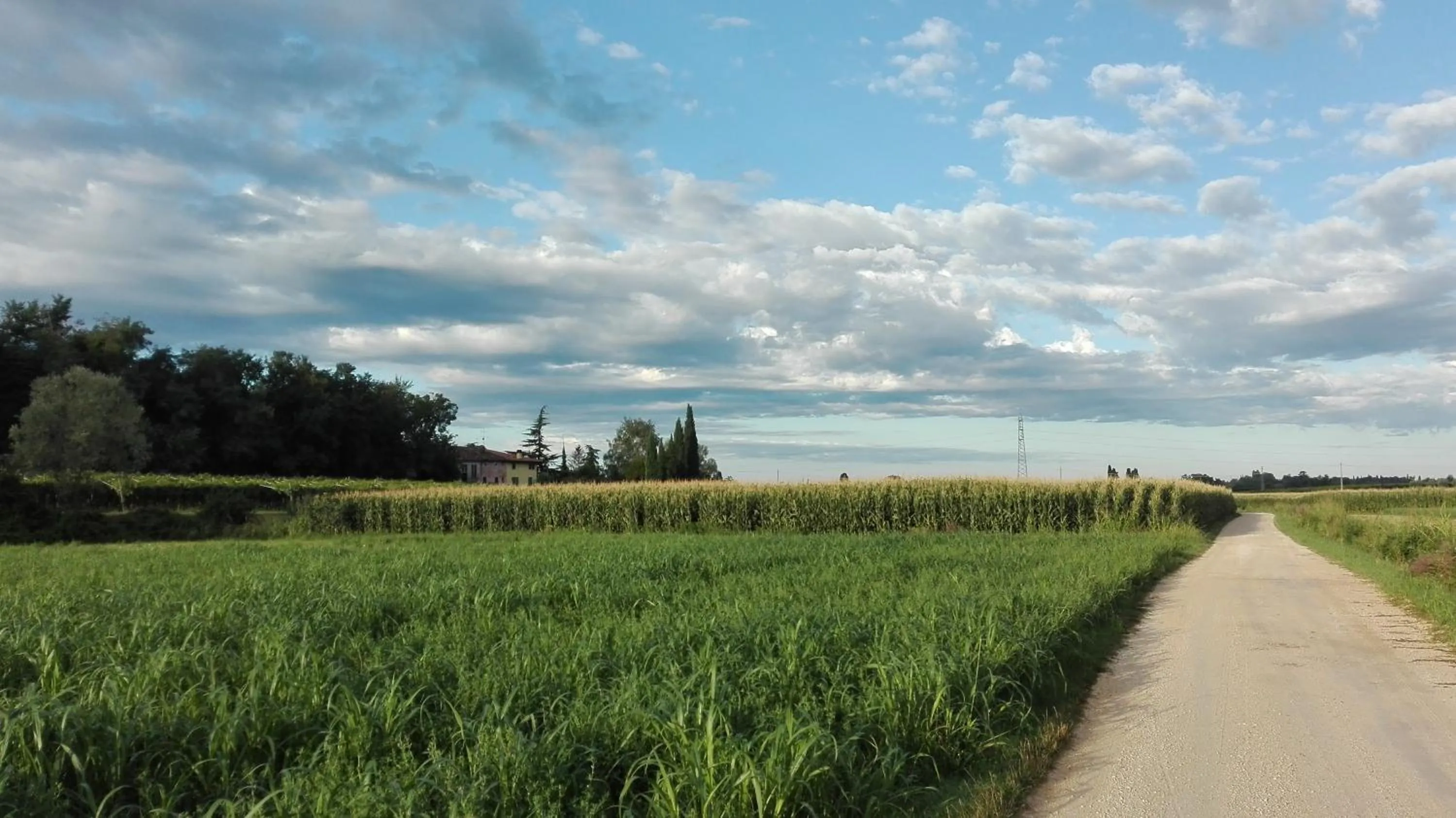 Natural landscape in B&B da Miriam