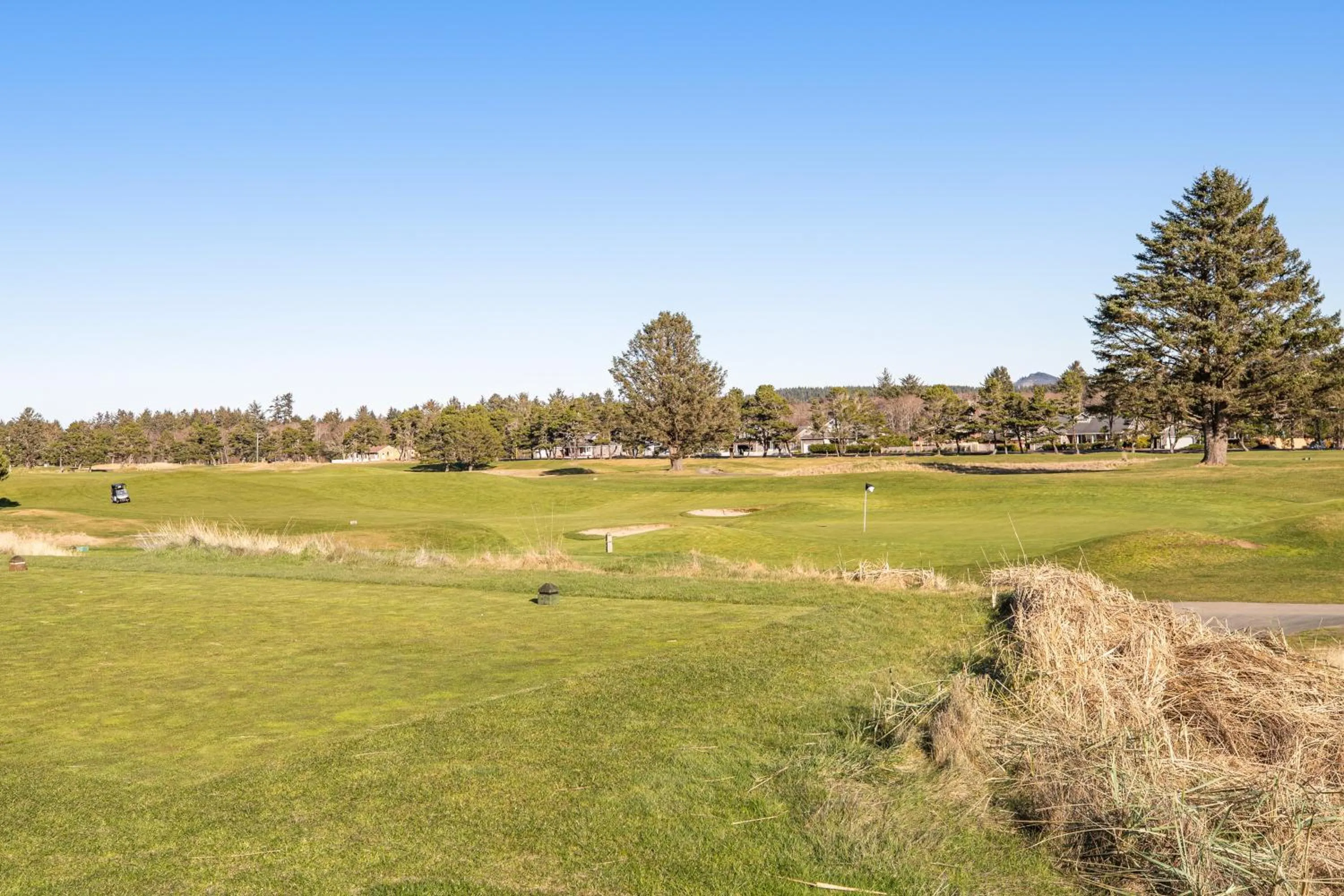 Seventh Street Cottage