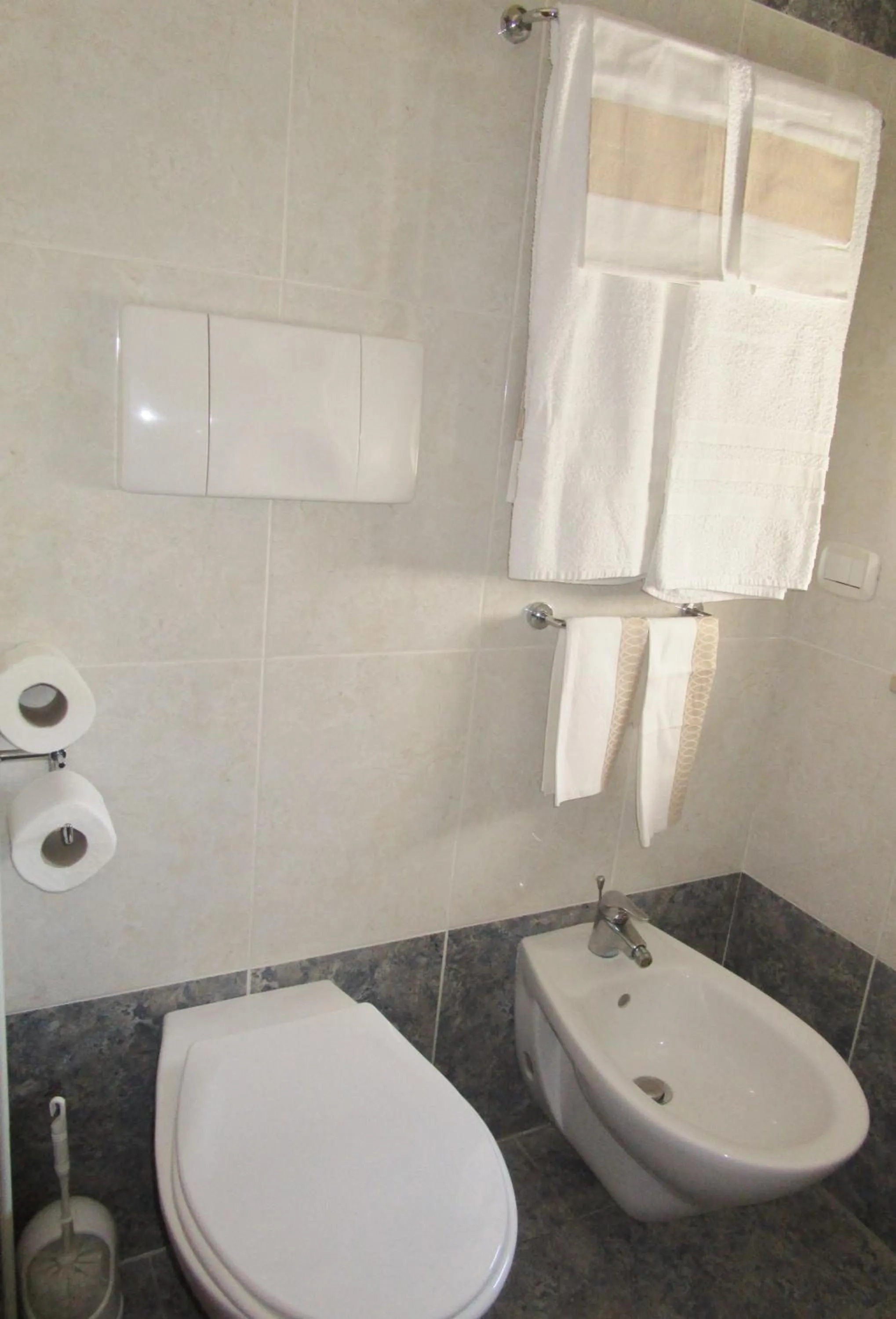 Toilet in Hotel Ponte