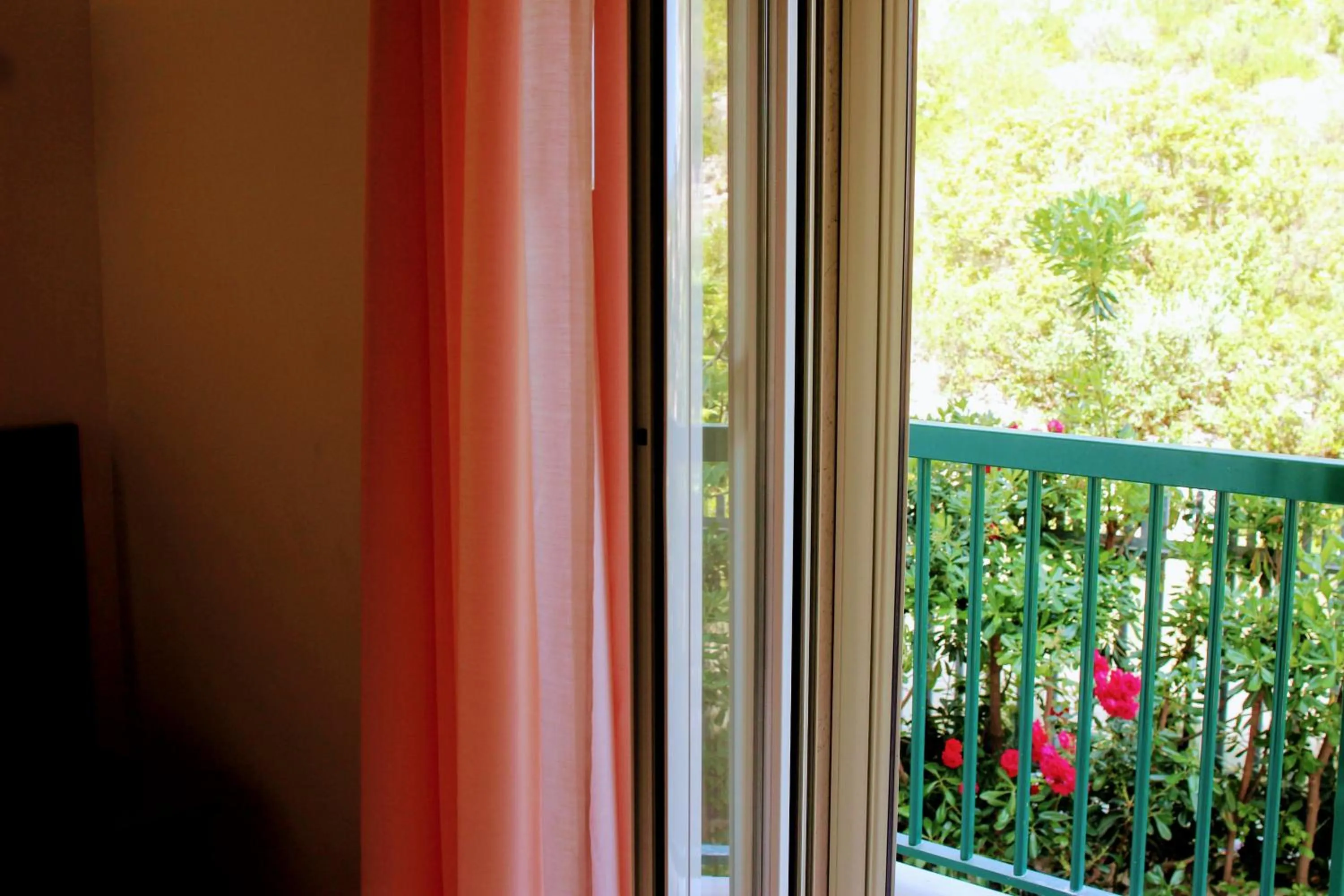 Balcony/Terrace in Hotel Ponte