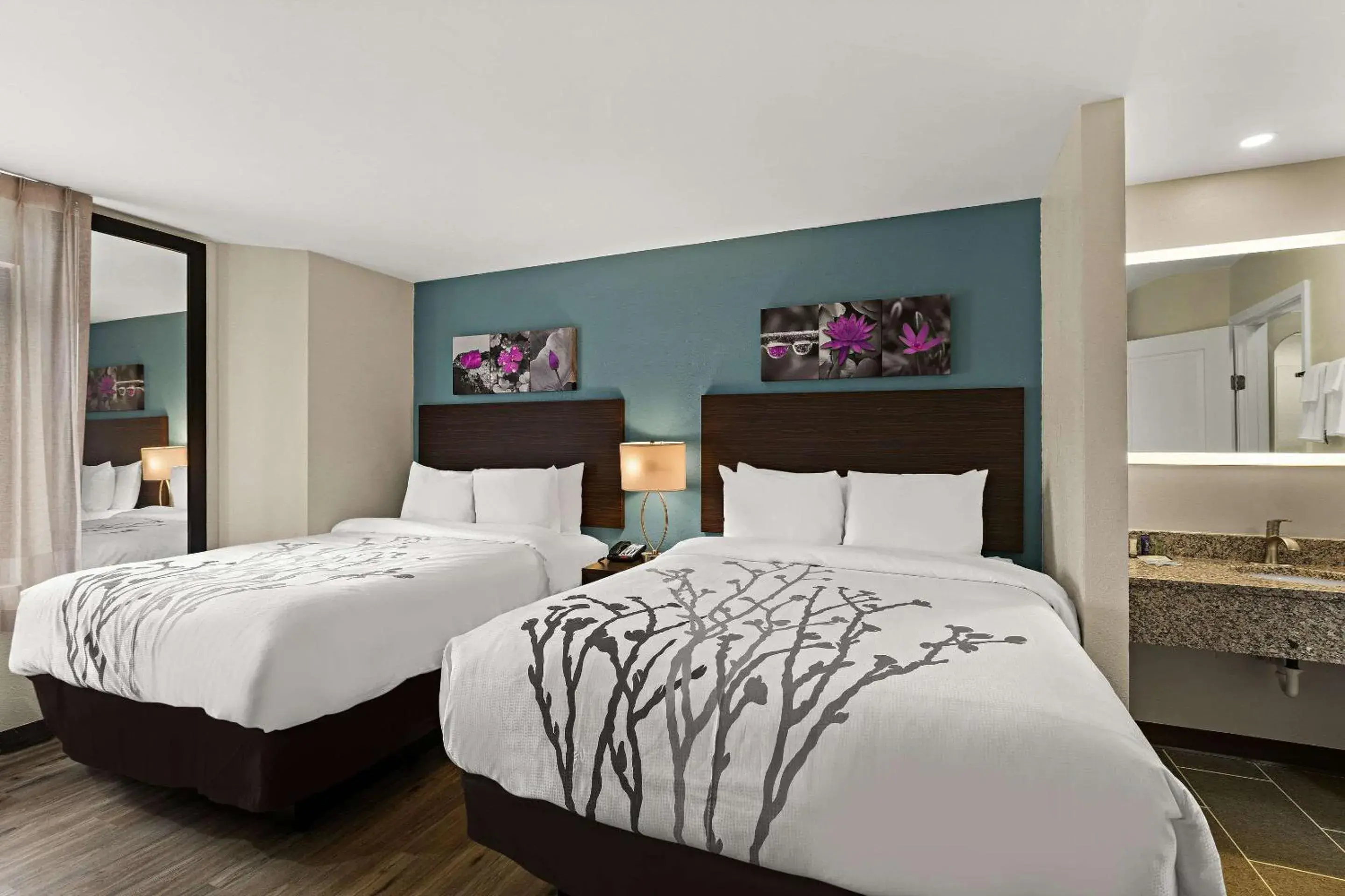 Bedroom, Bed in Sleep Inn Bedroom, Bed in Sleep Inn