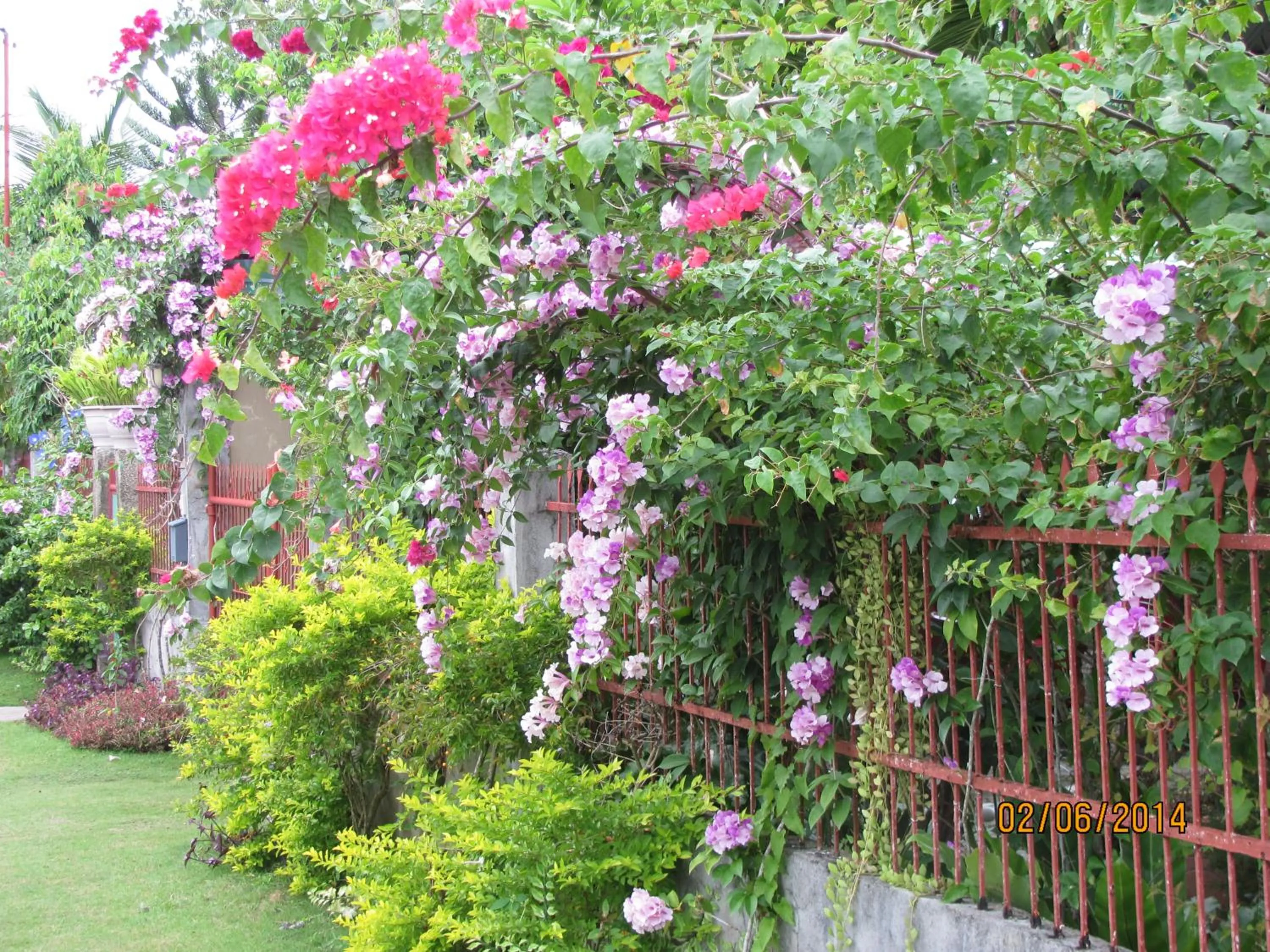 Garden in Villa 301 B&B