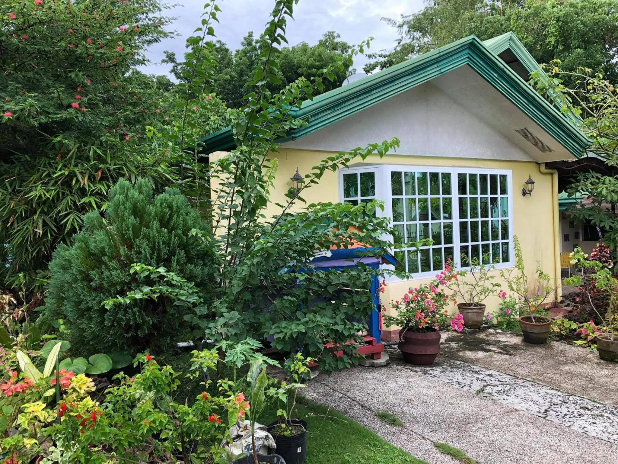 Garden view in Villa 301 B&B