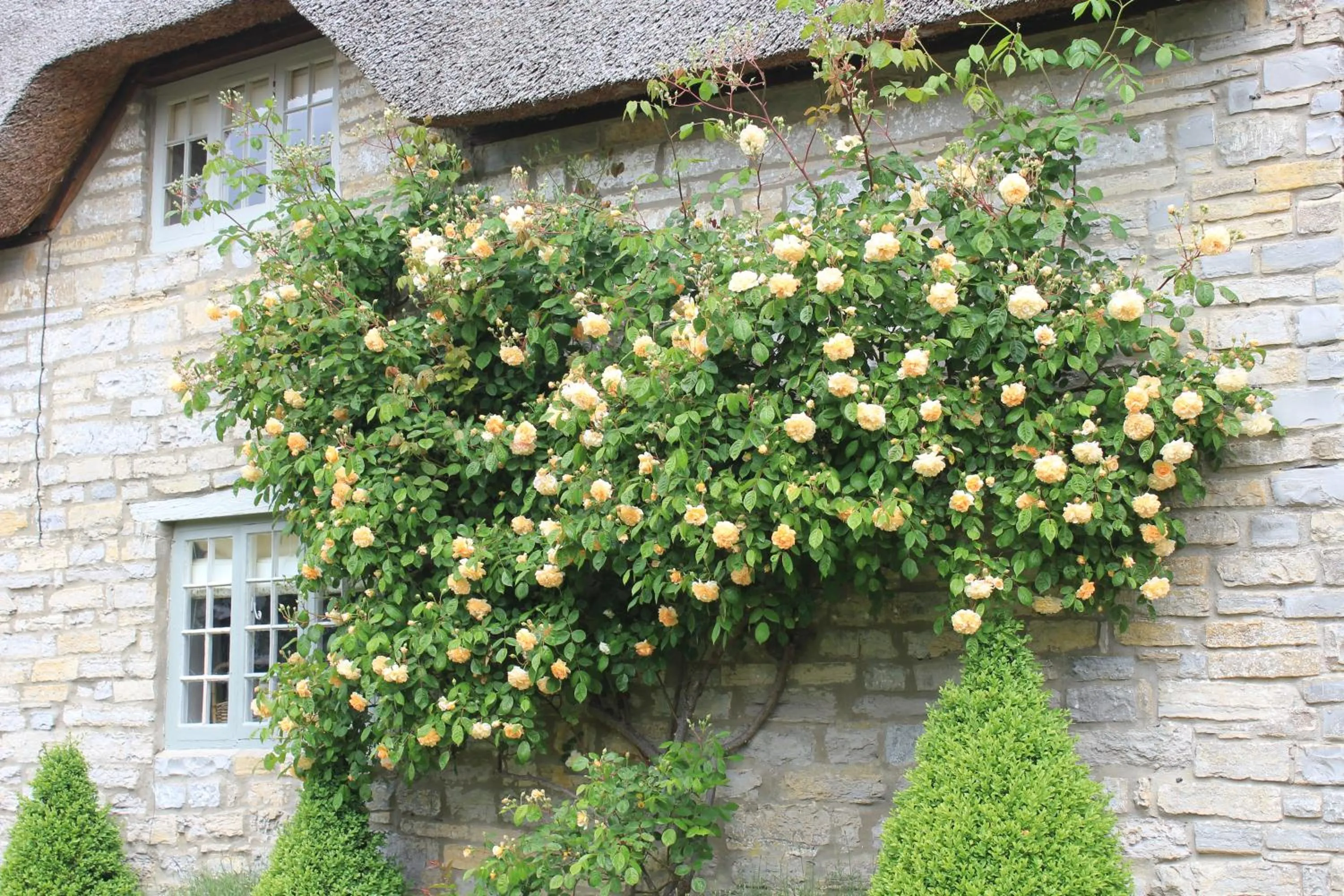 Facade/entrance in West Knole House Somerset