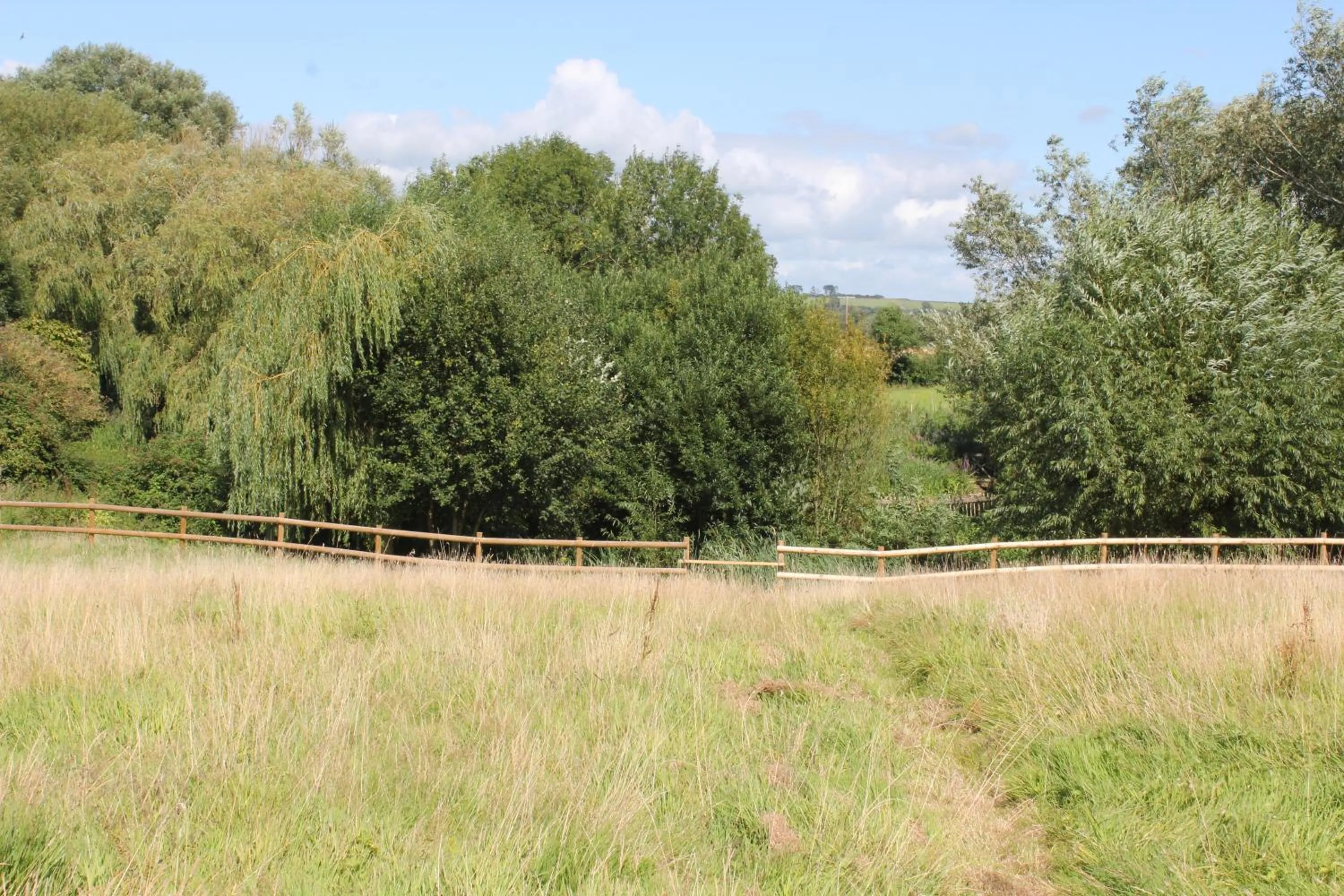 Natural landscape in West Knole House Somerset