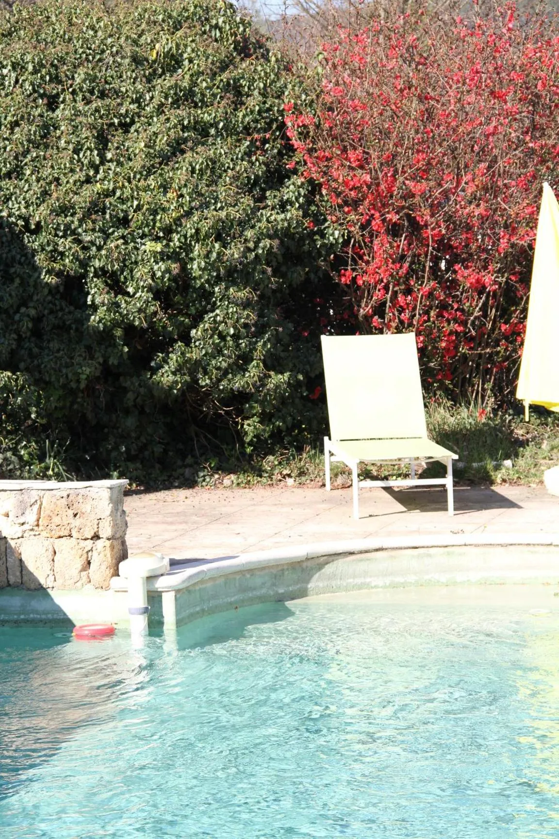 Swimming pool in Les Vingalières