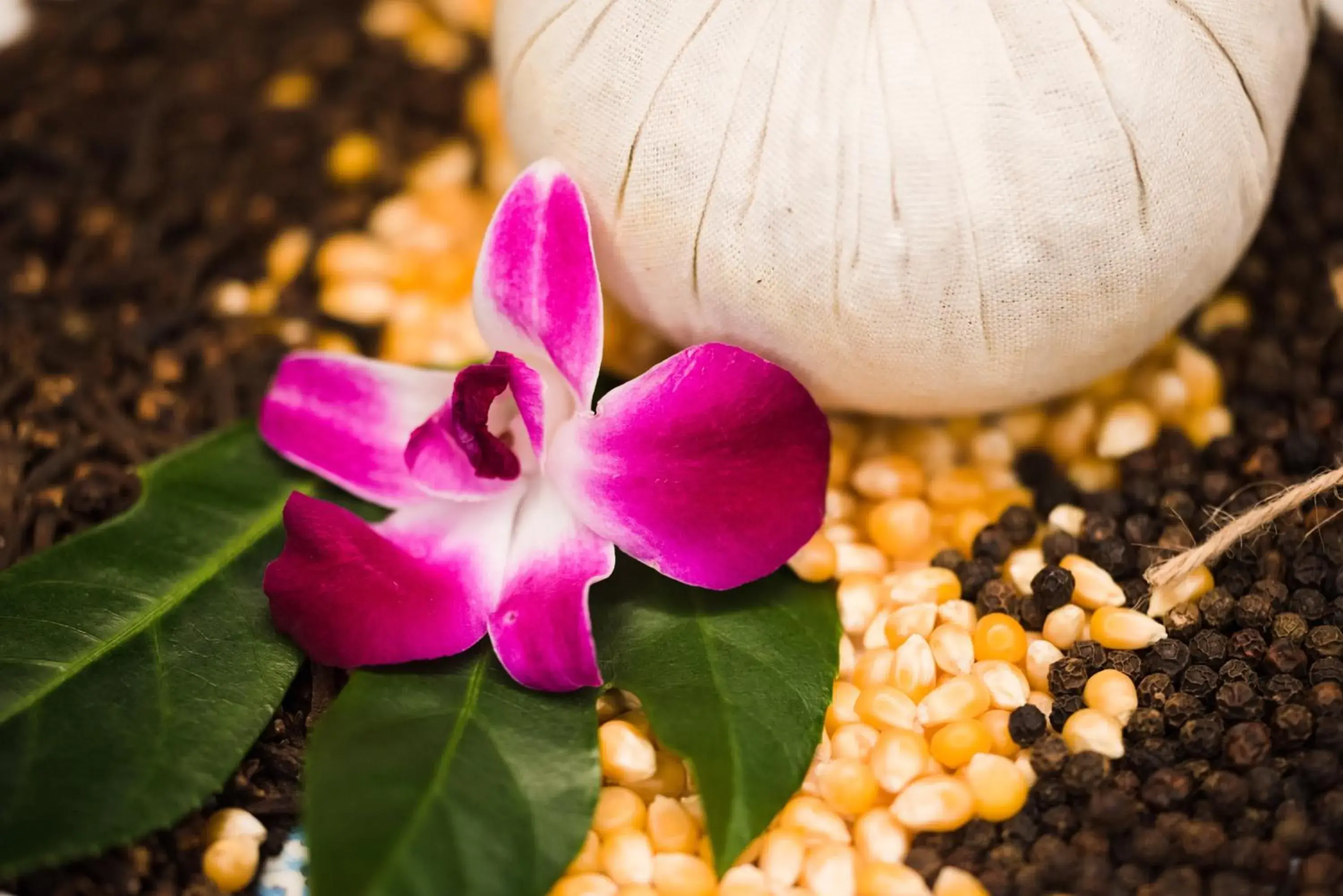 Spa and wellness centre/facilities in Centara Muscat Hotel Oman Spa and wellness centre/facilities in Centara Muscat Hotel Oman