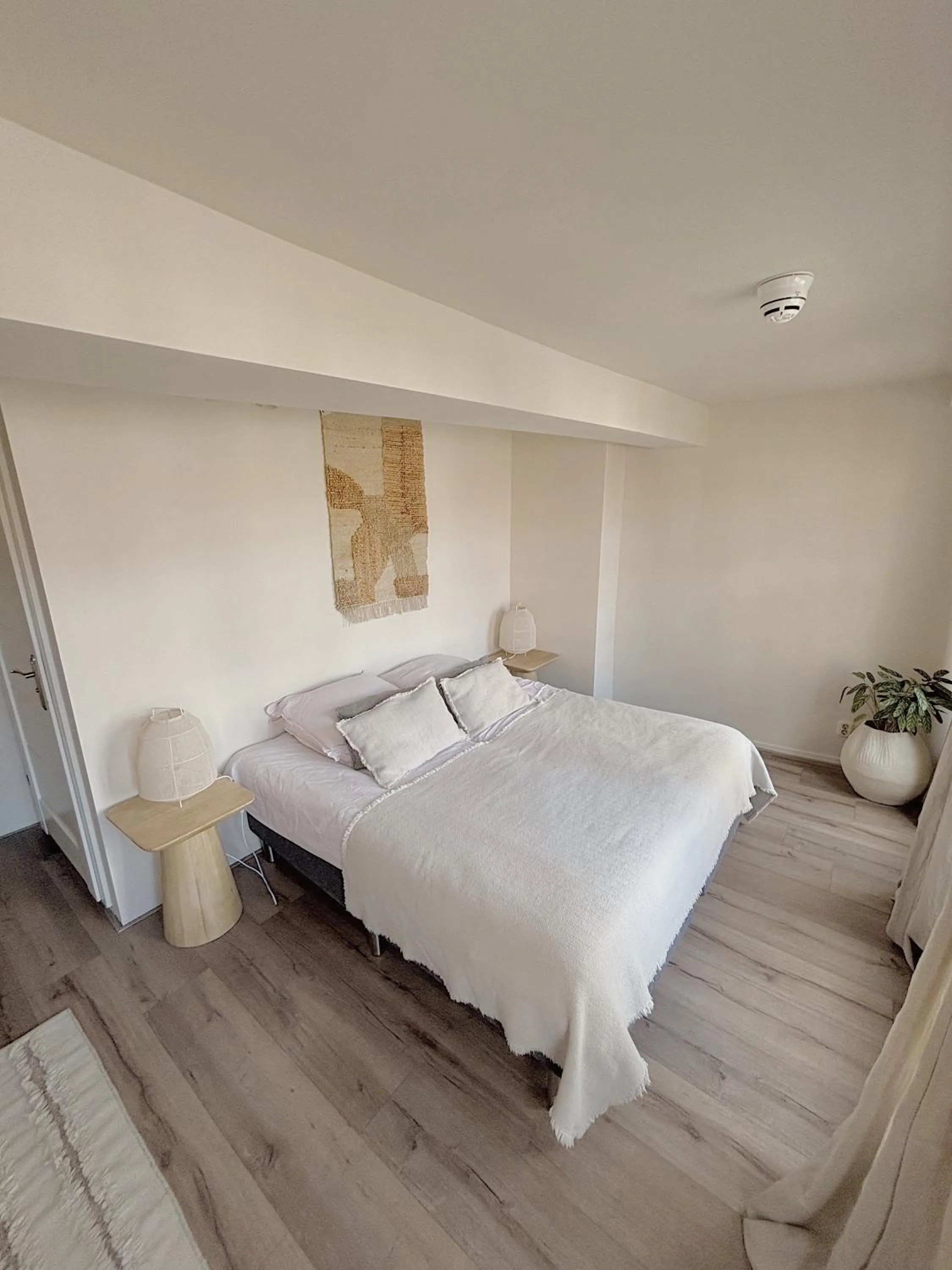 Bed in Milk and cookies