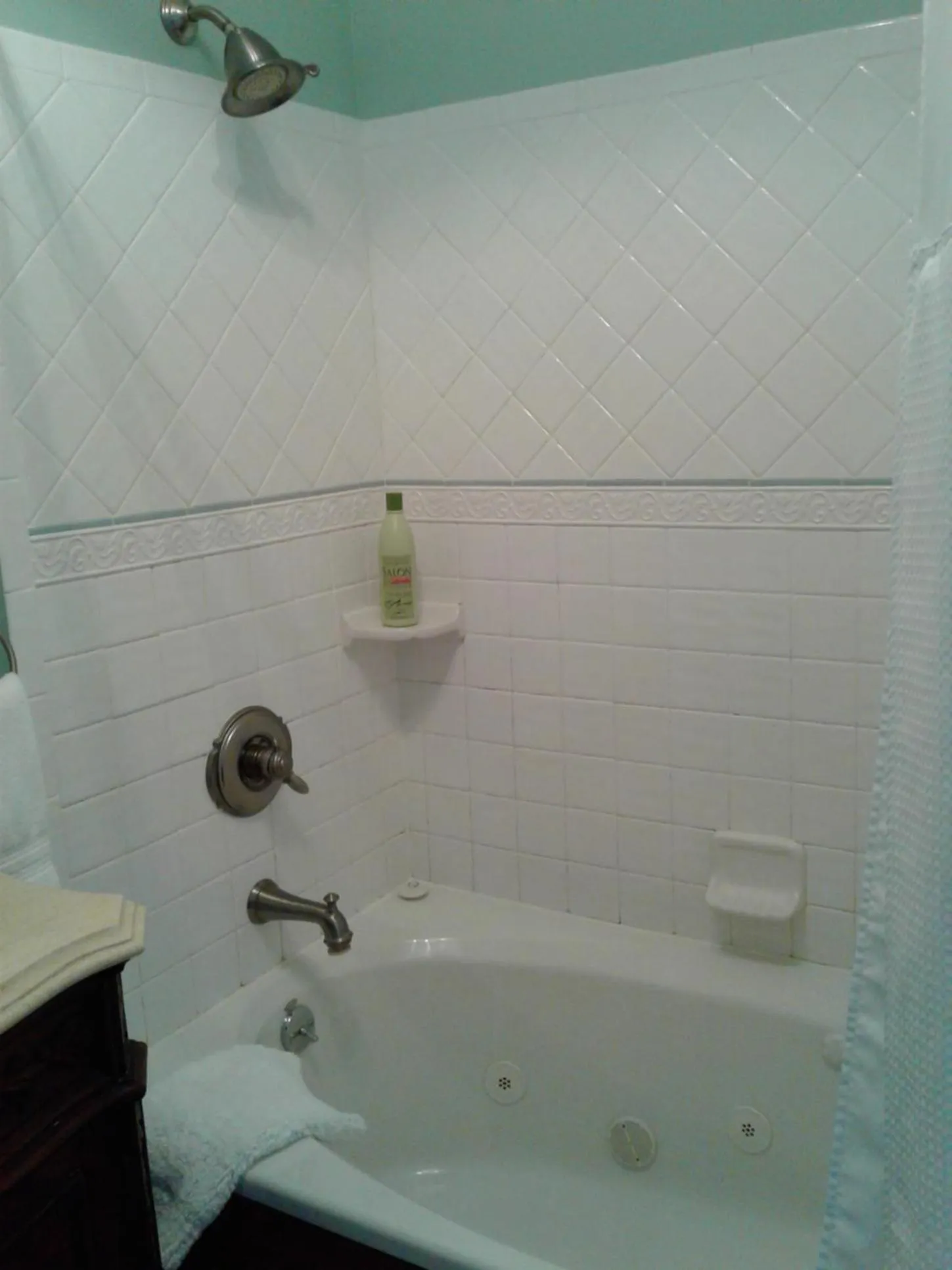 Shower in Proctor Mansion Inn