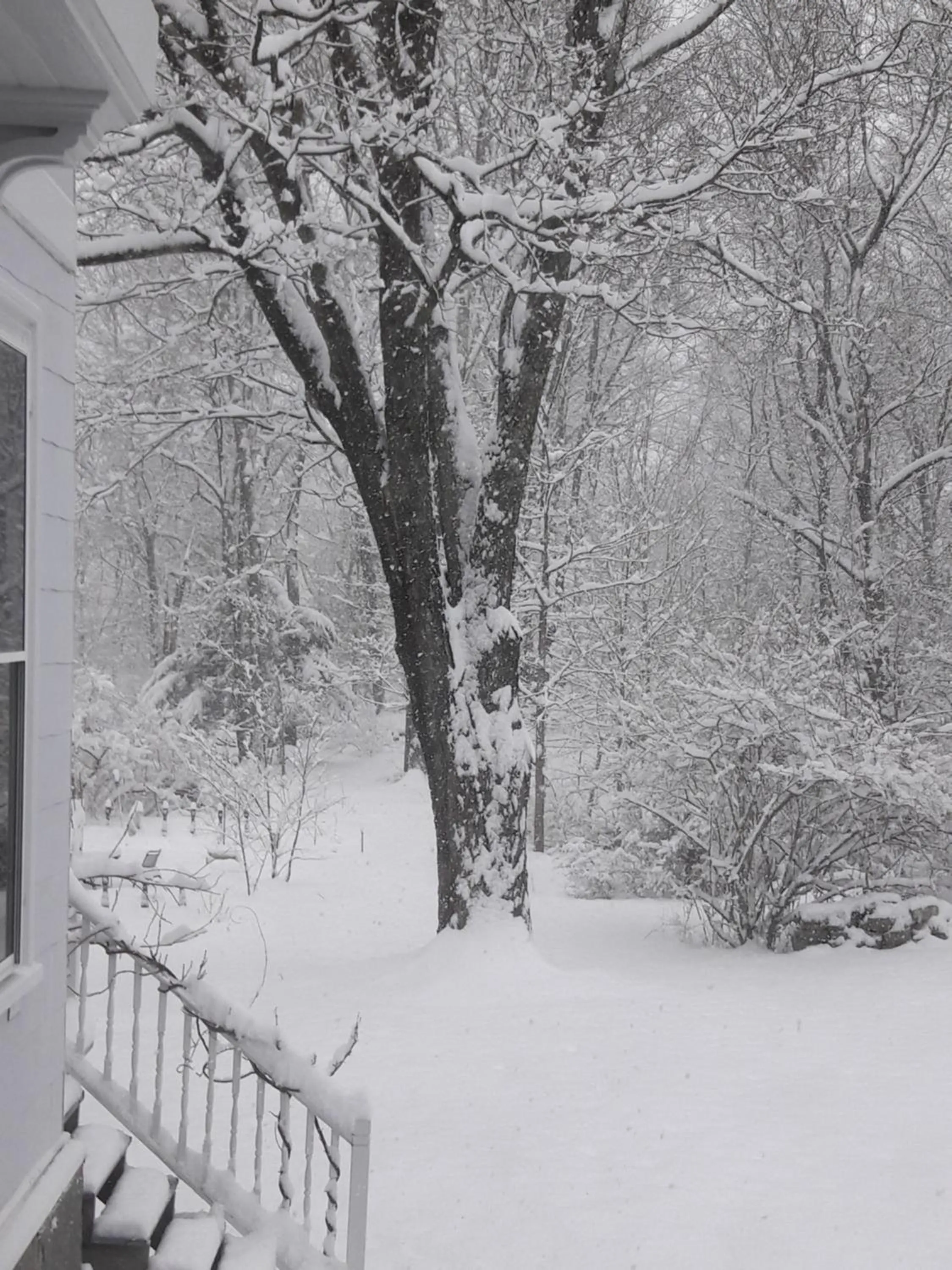 Property building in Proctor Mansion Inn