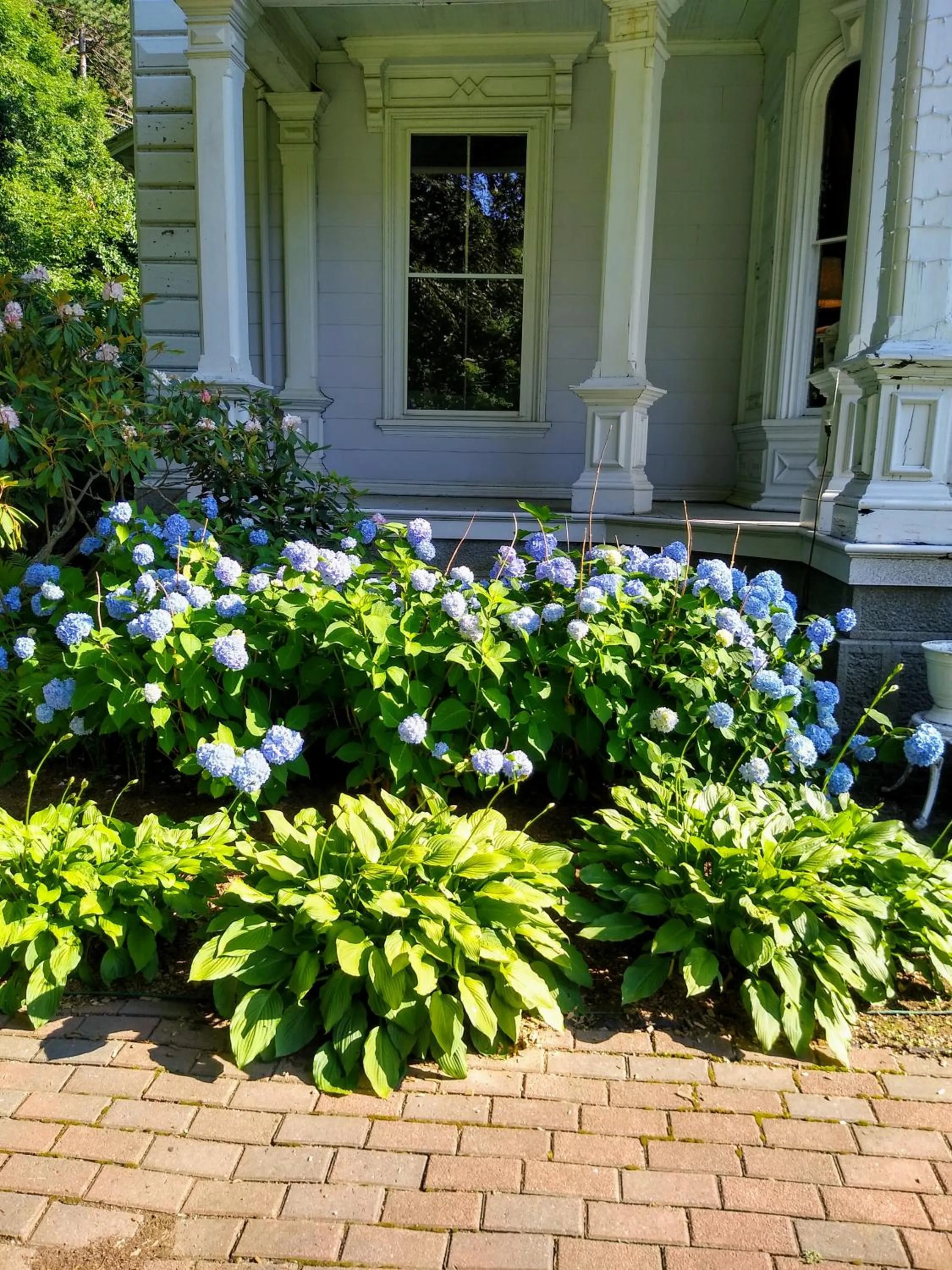 Property building in Proctor Mansion Inn