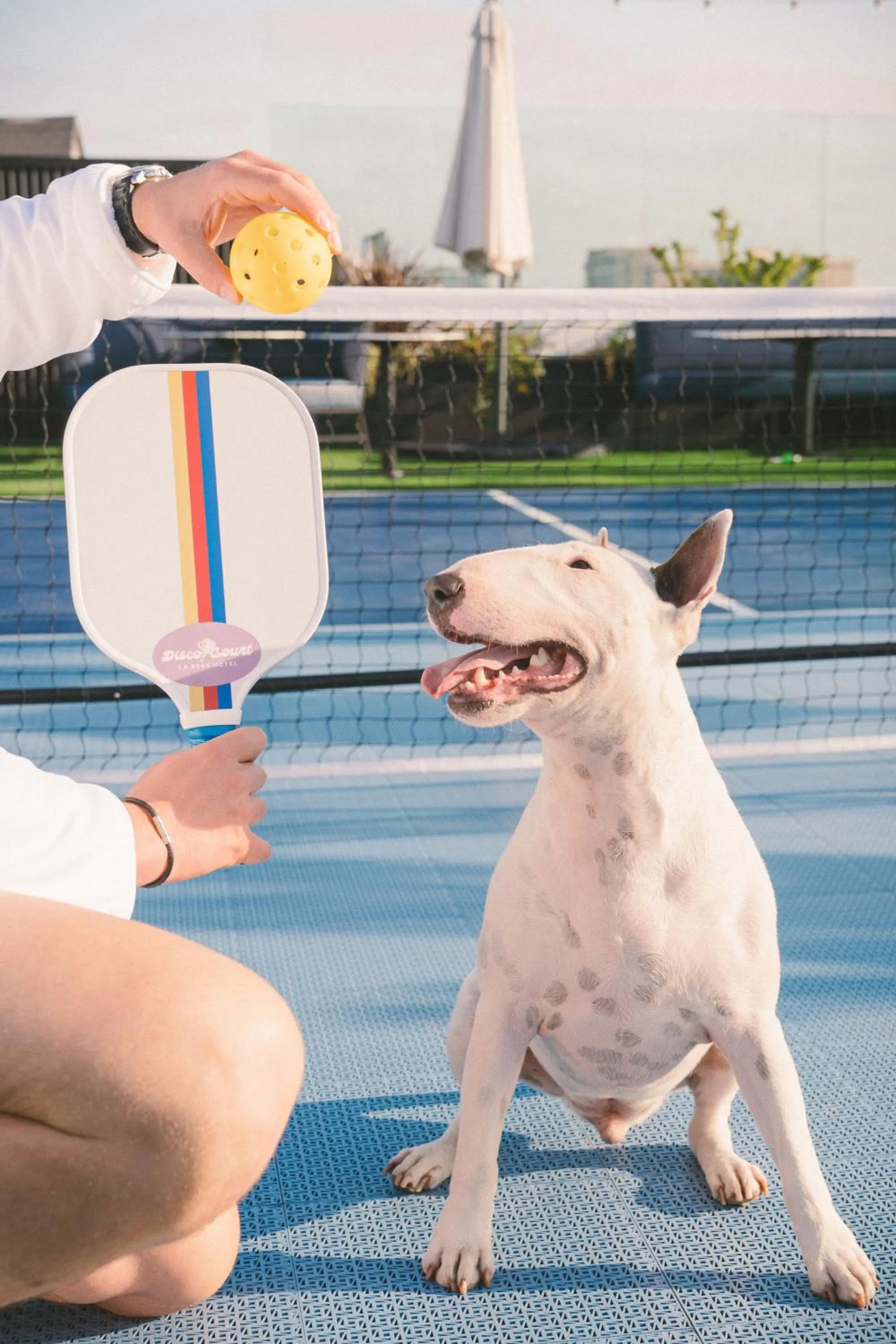 Pets in Kimpton La Peer Hotel West Hollywood by IHG