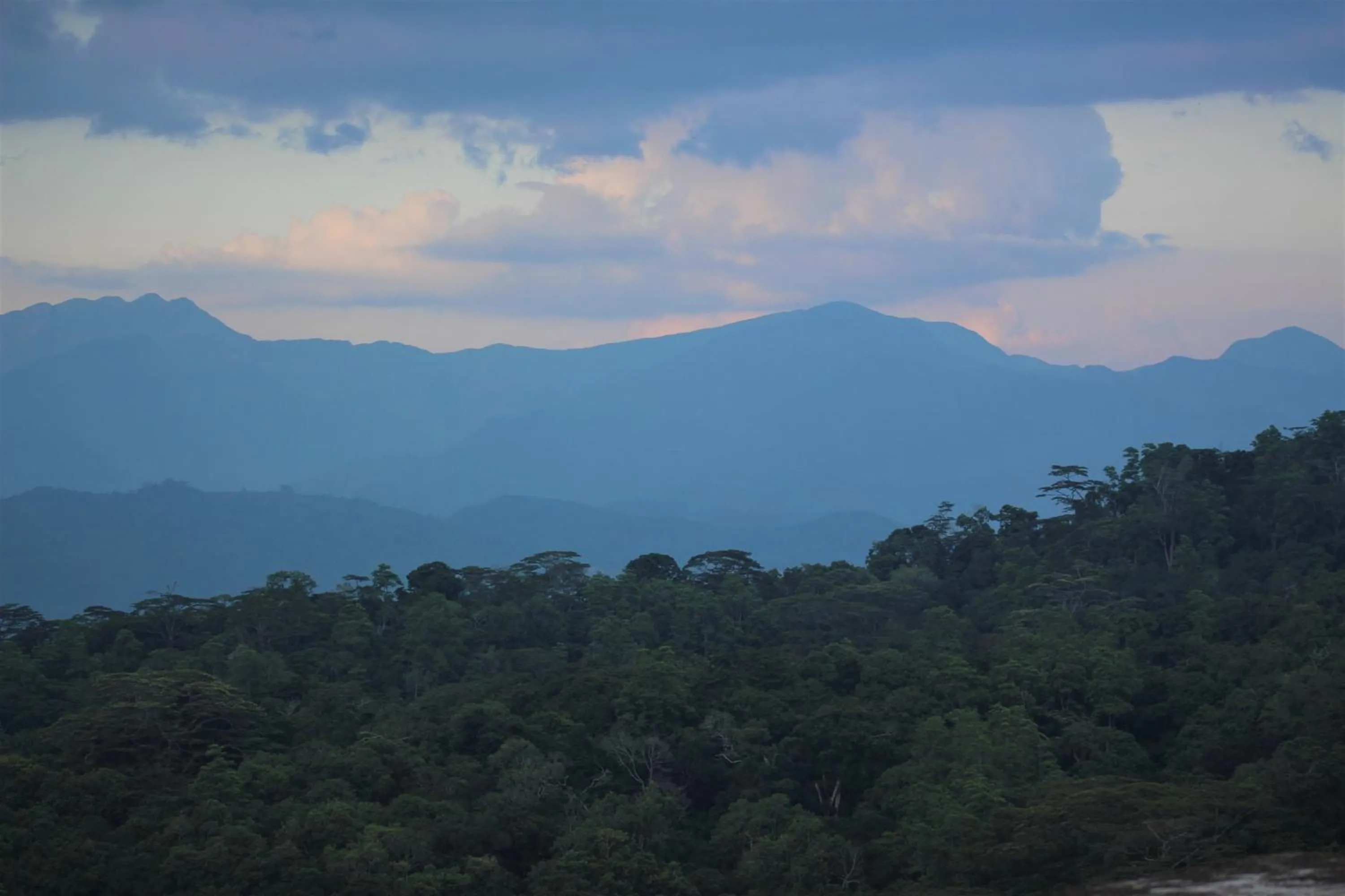 Mountain view in e-stay Hanthana Kandy