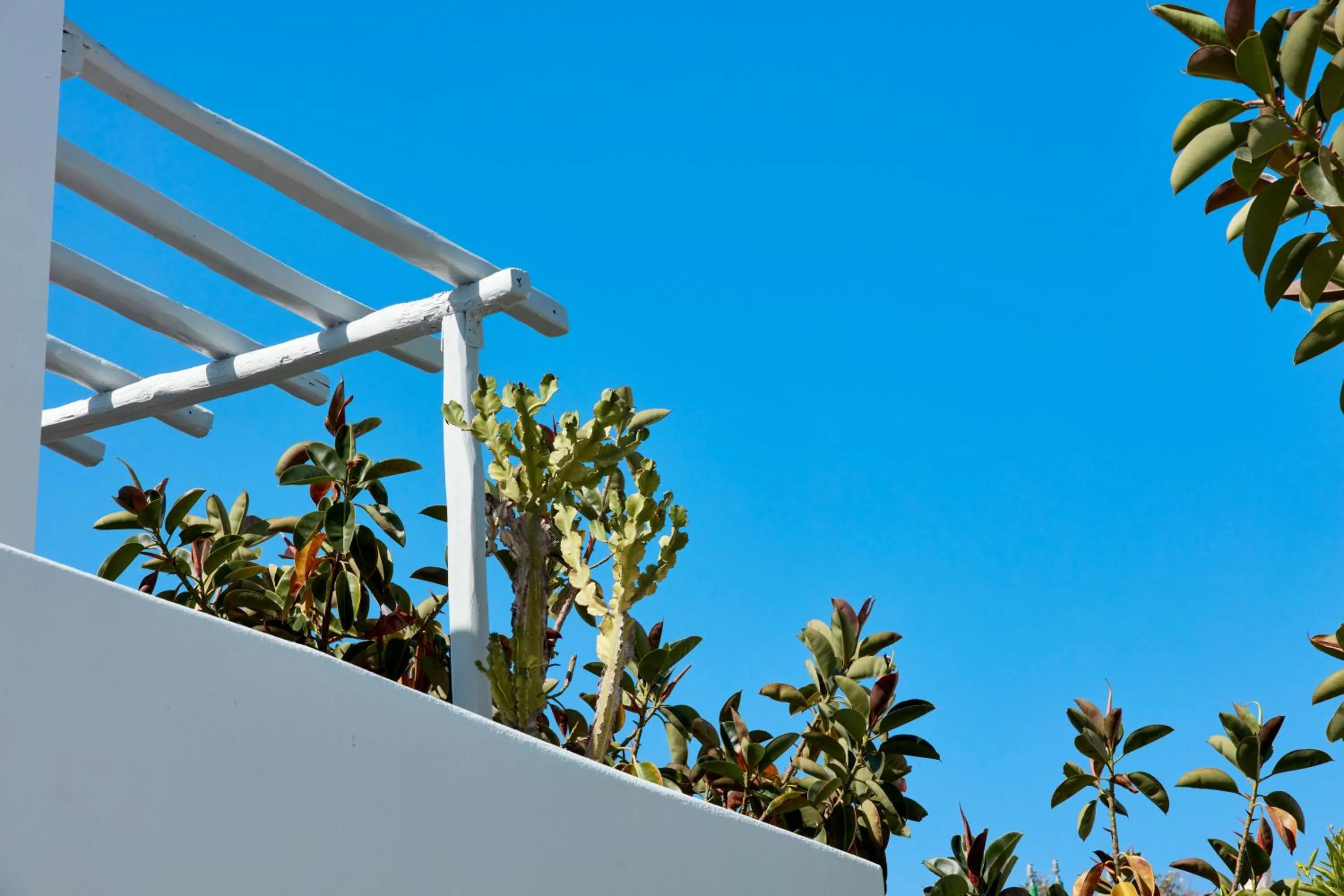 Balcony/Terrace in Mykonos Town Suites