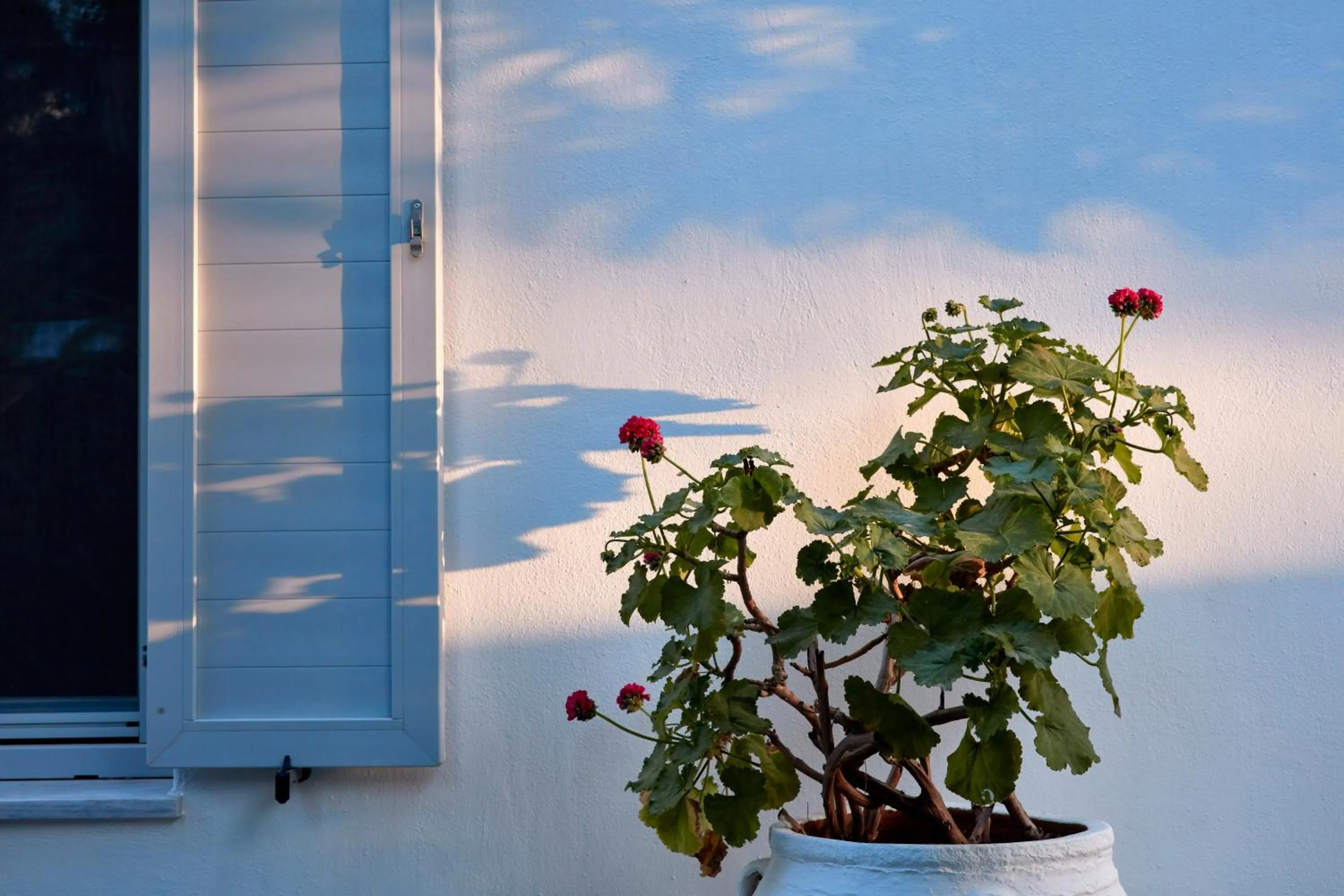 Balcony/Terrace in Mykonos Town Suites