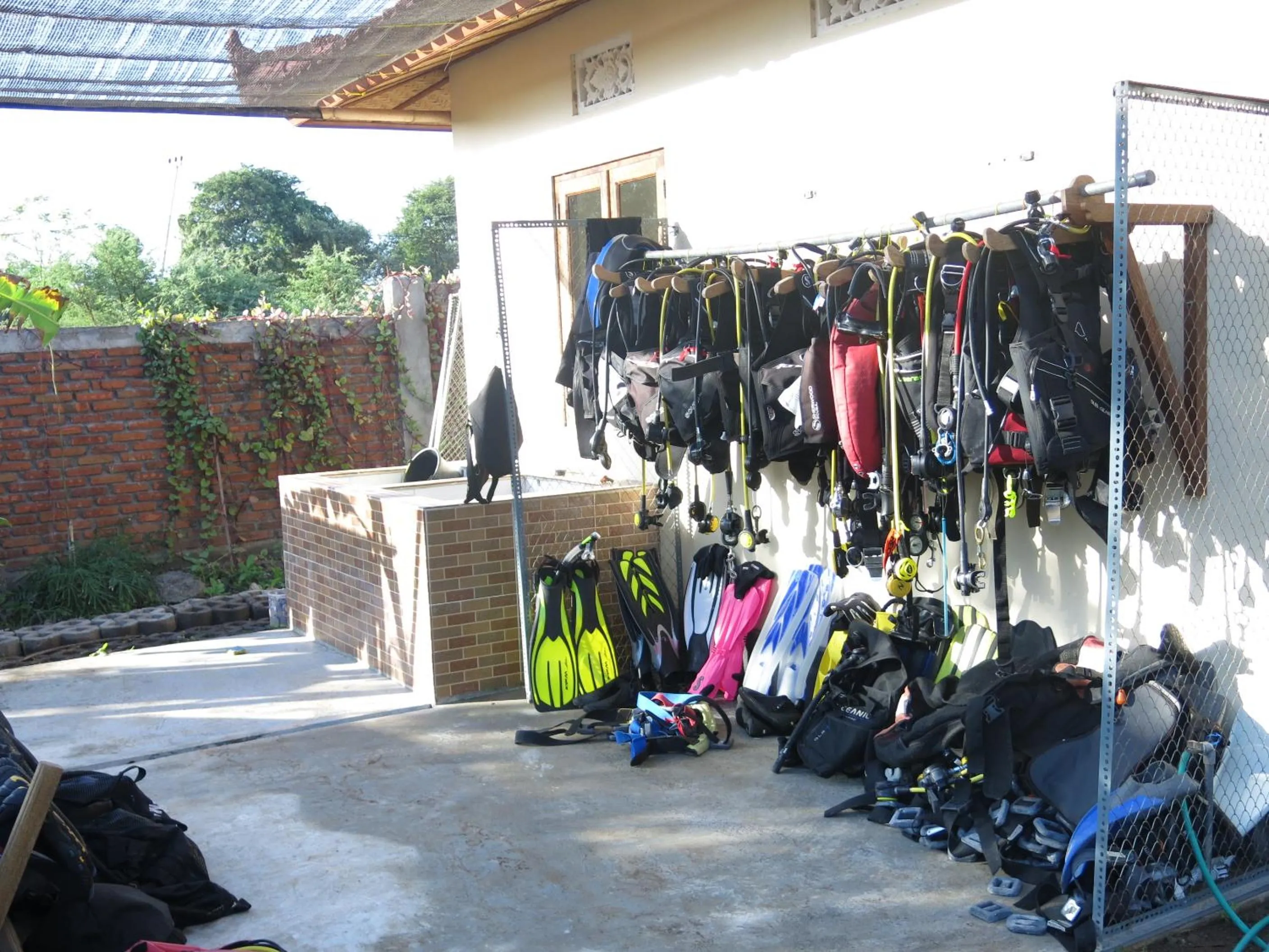Snorkeling in Batu Ampar Menjangan
